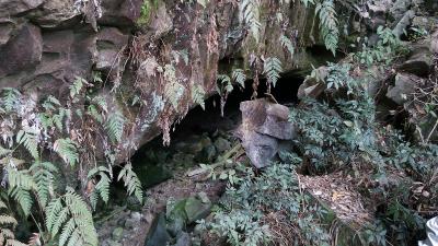 尾平野洞窟遺跡