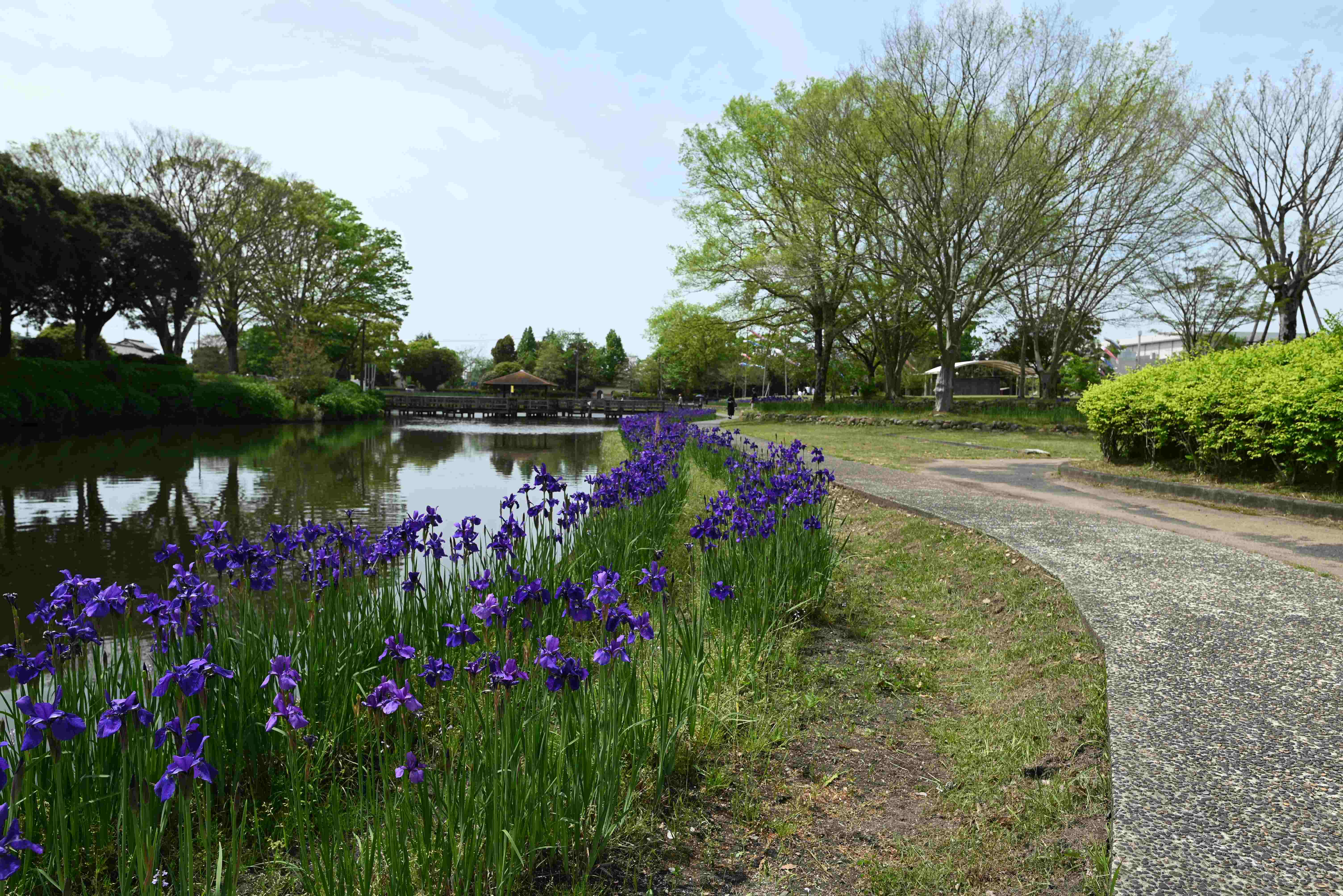 早水公園-1枚目-