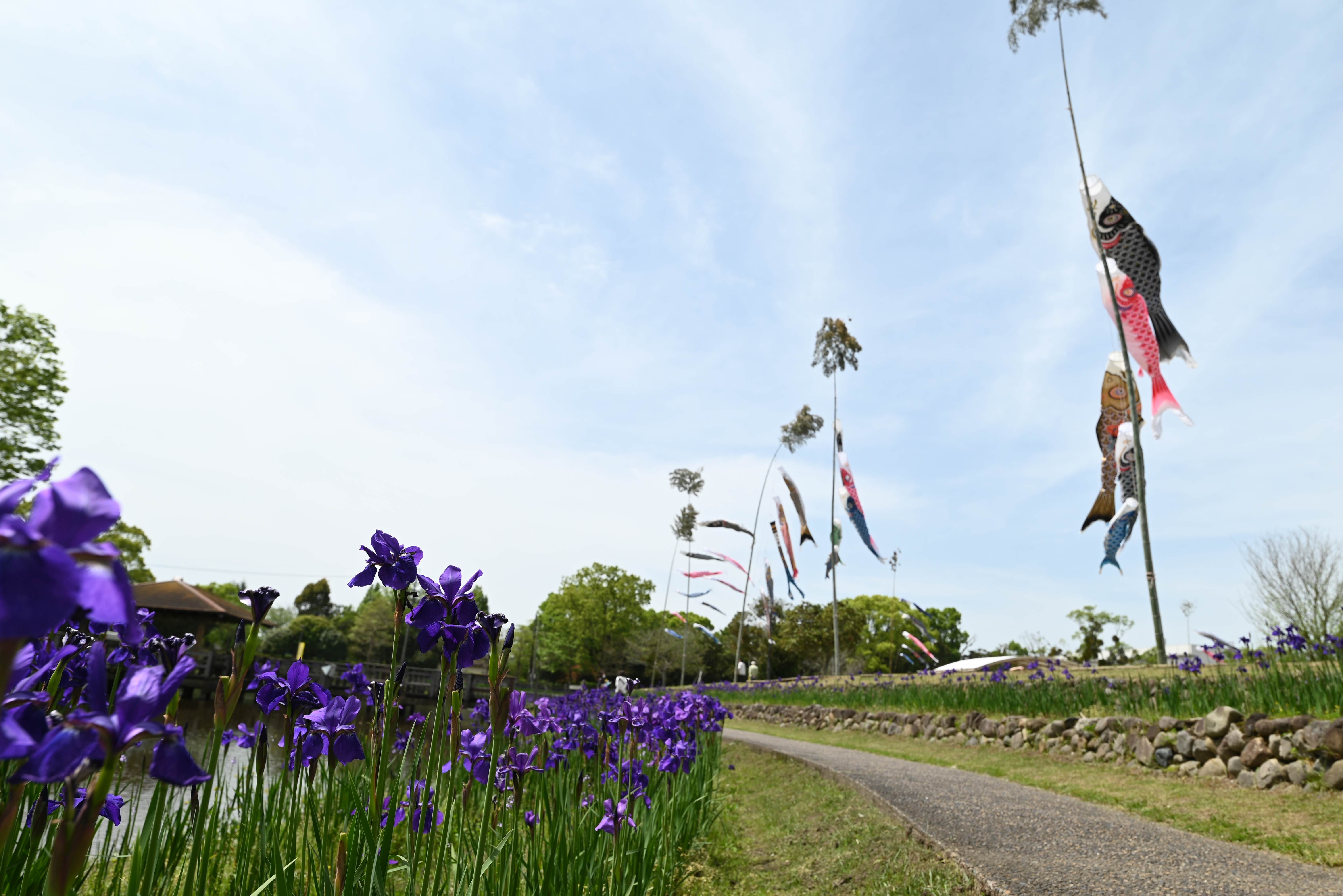 早水公園-2枚目-