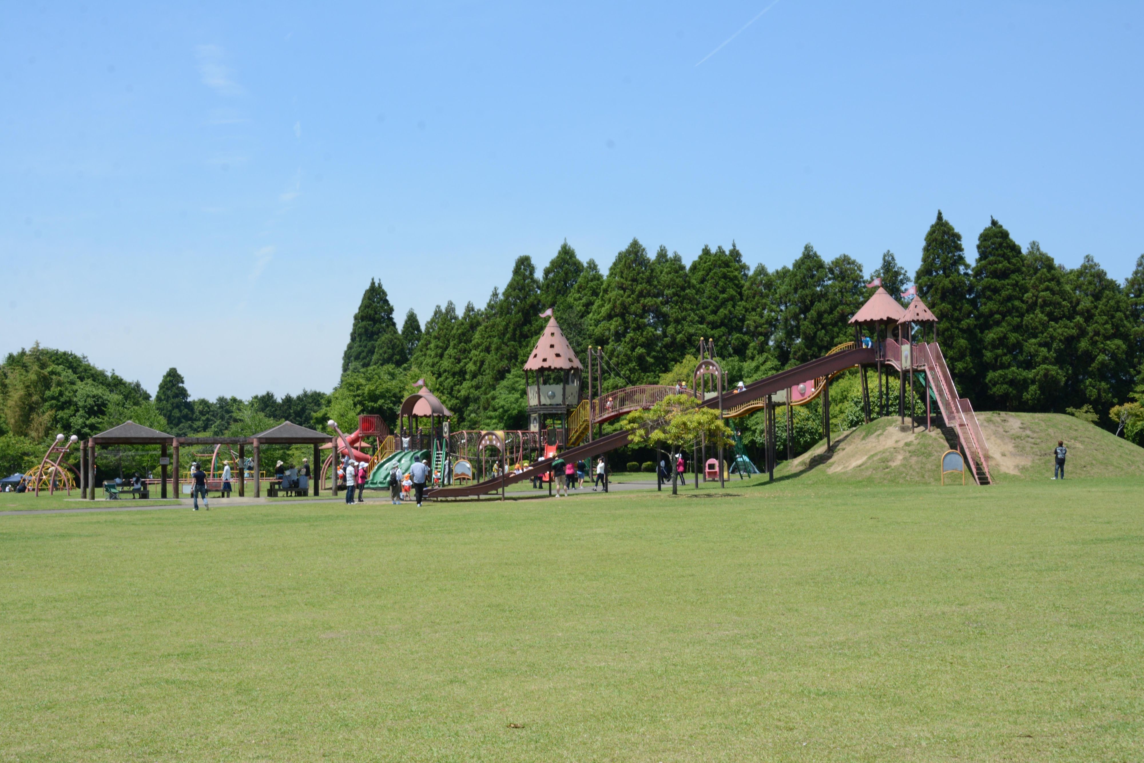 母智丘公園くまそ広場-1枚目-