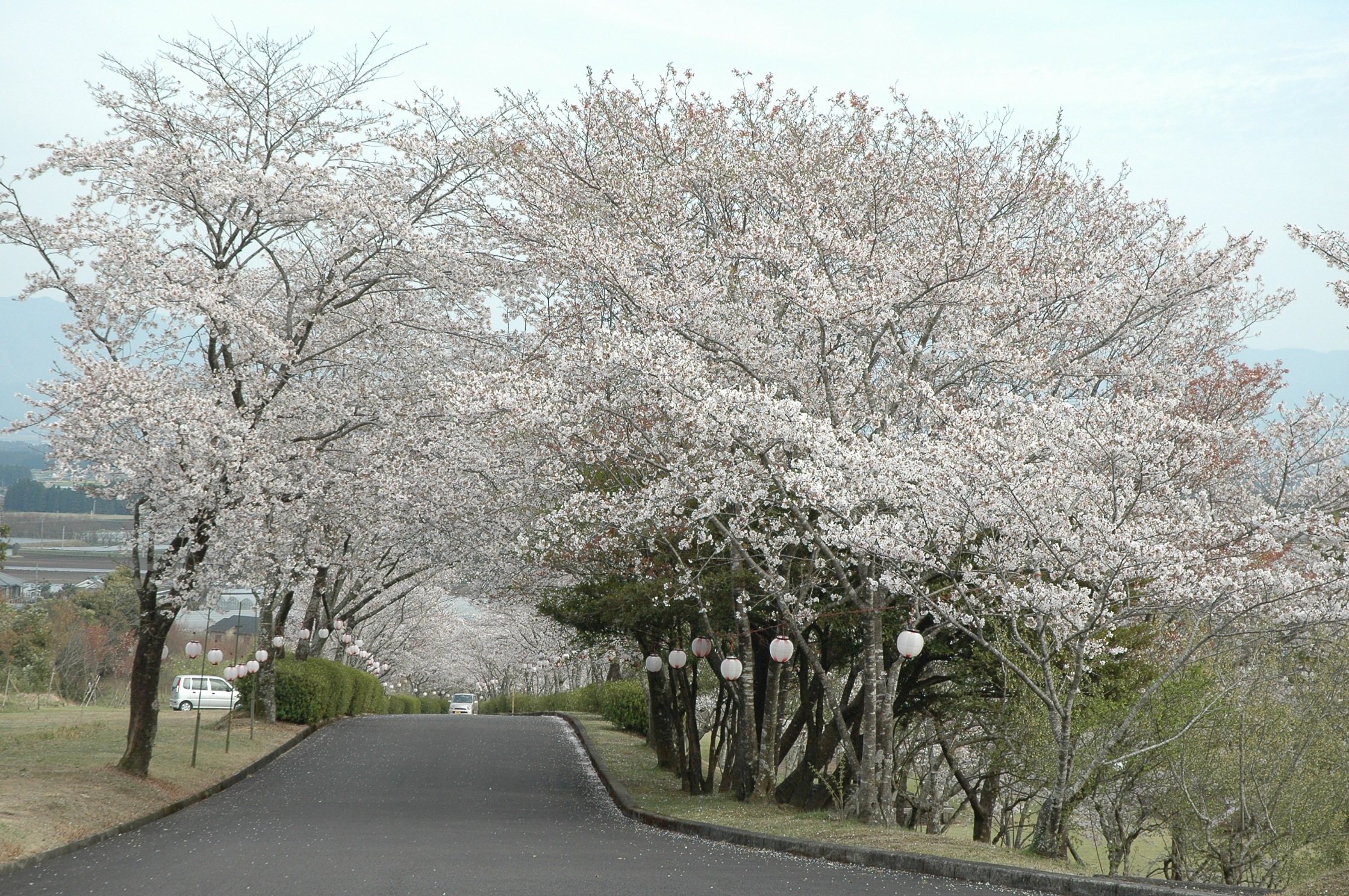 一堂ケ丘公園-1枚目-