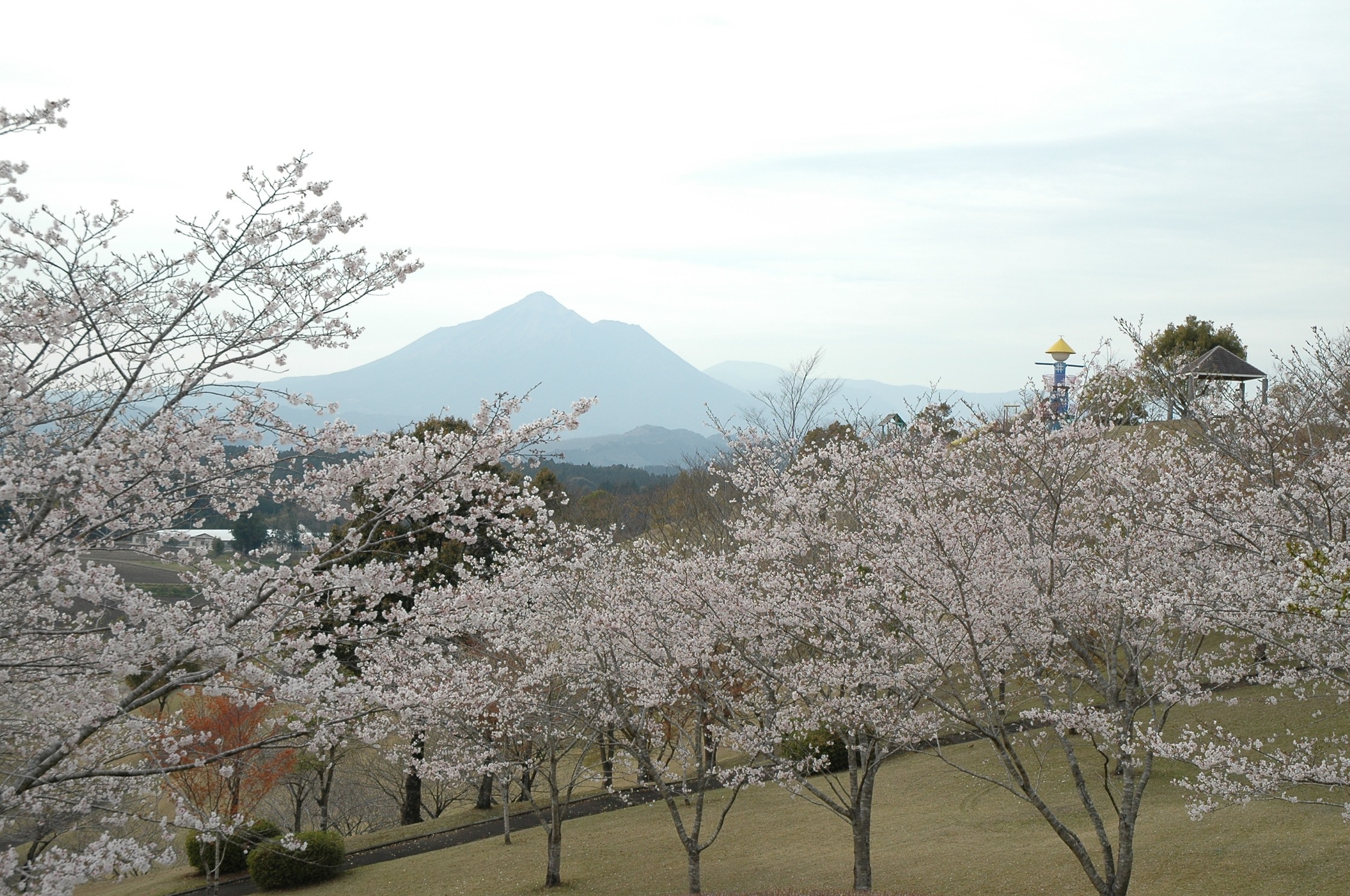 一堂ケ丘公園-2枚目-