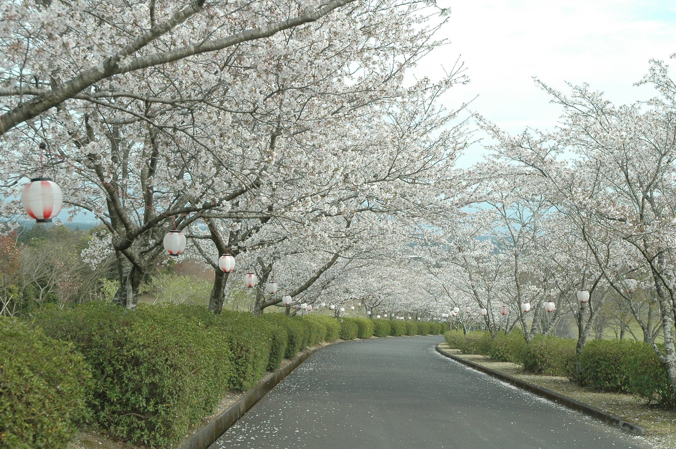 一堂ケ丘公園-5枚目-