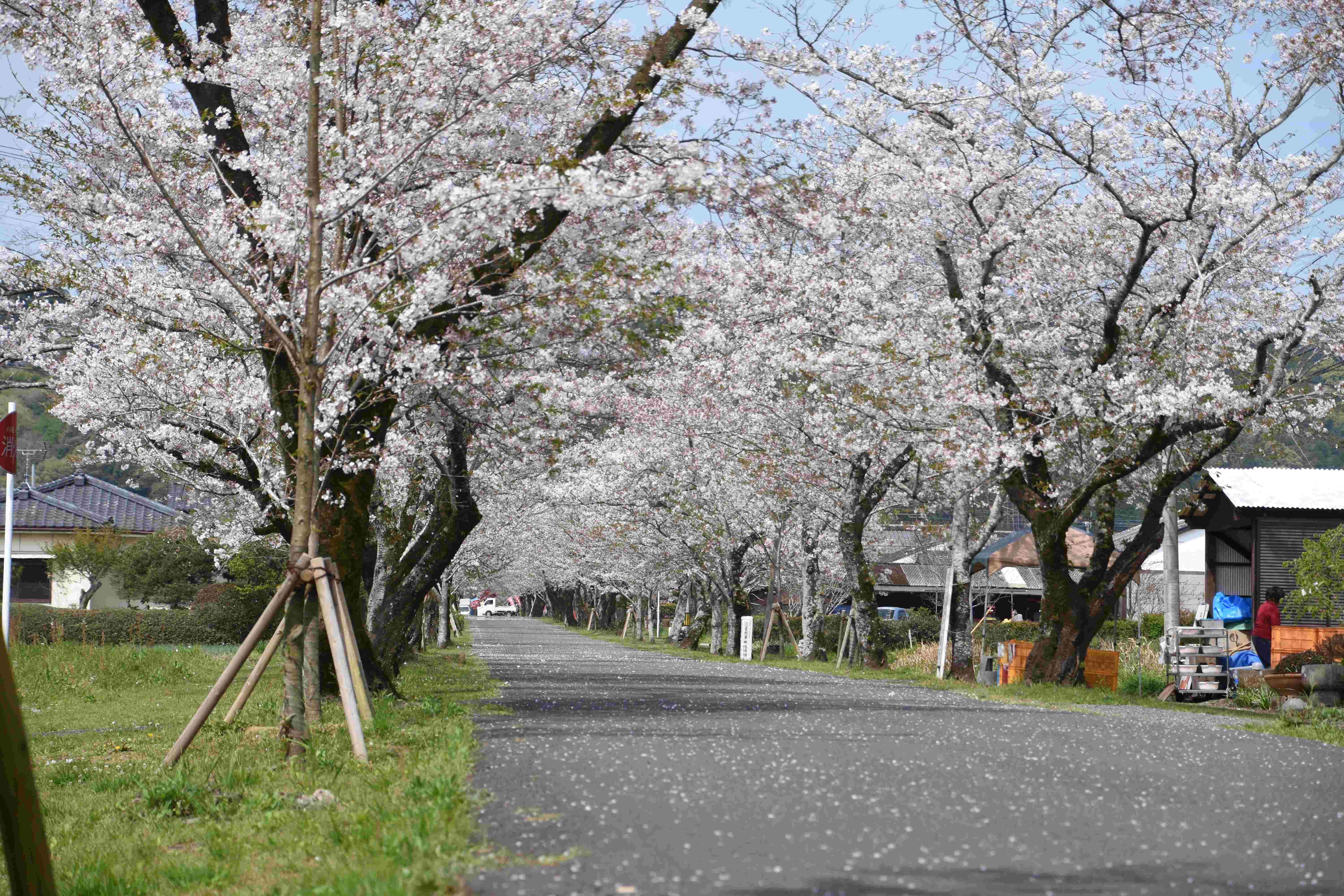 一堂ケ丘公園-6枚目-