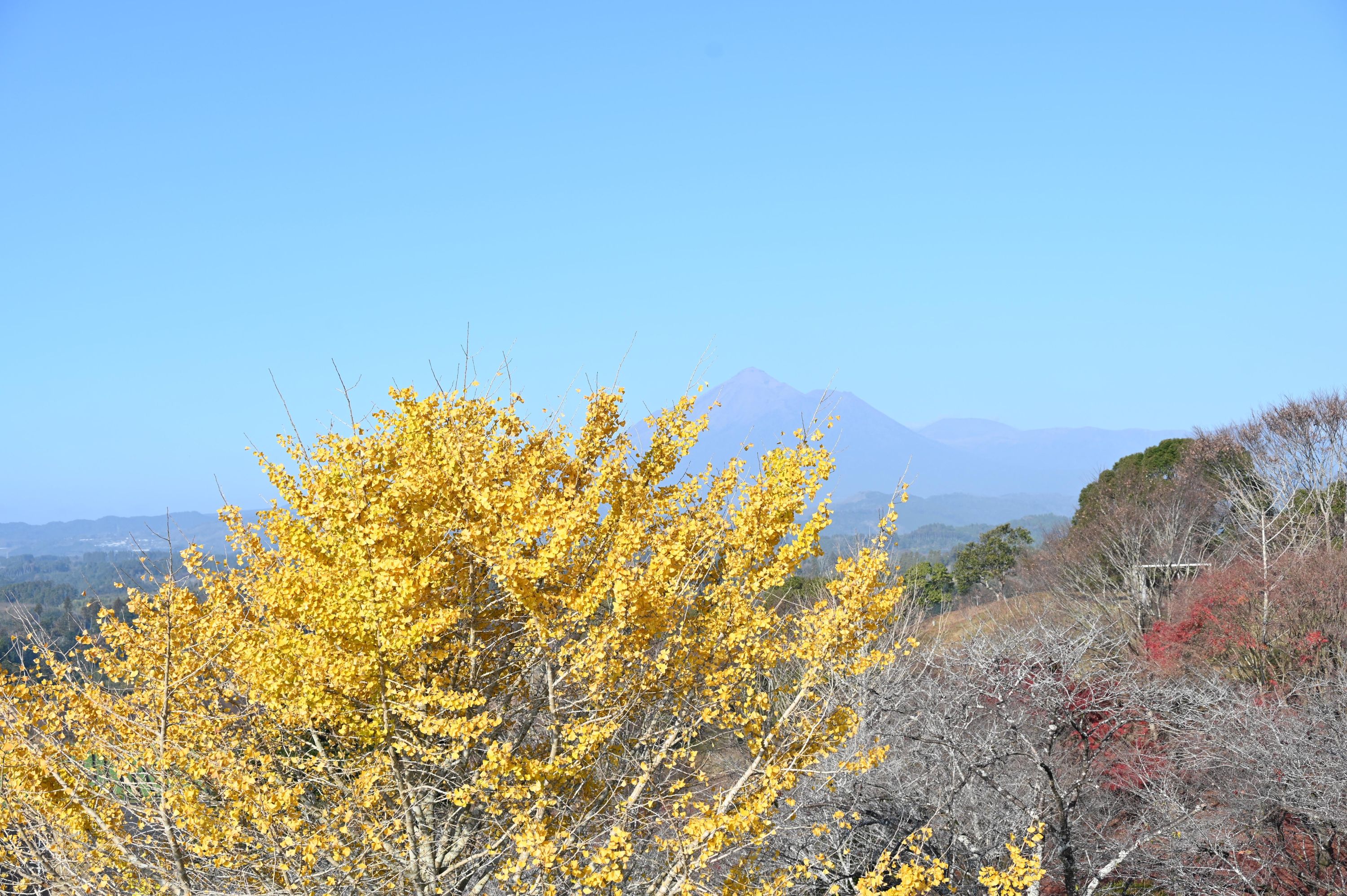 一堂ケ丘公園-9枚目-
