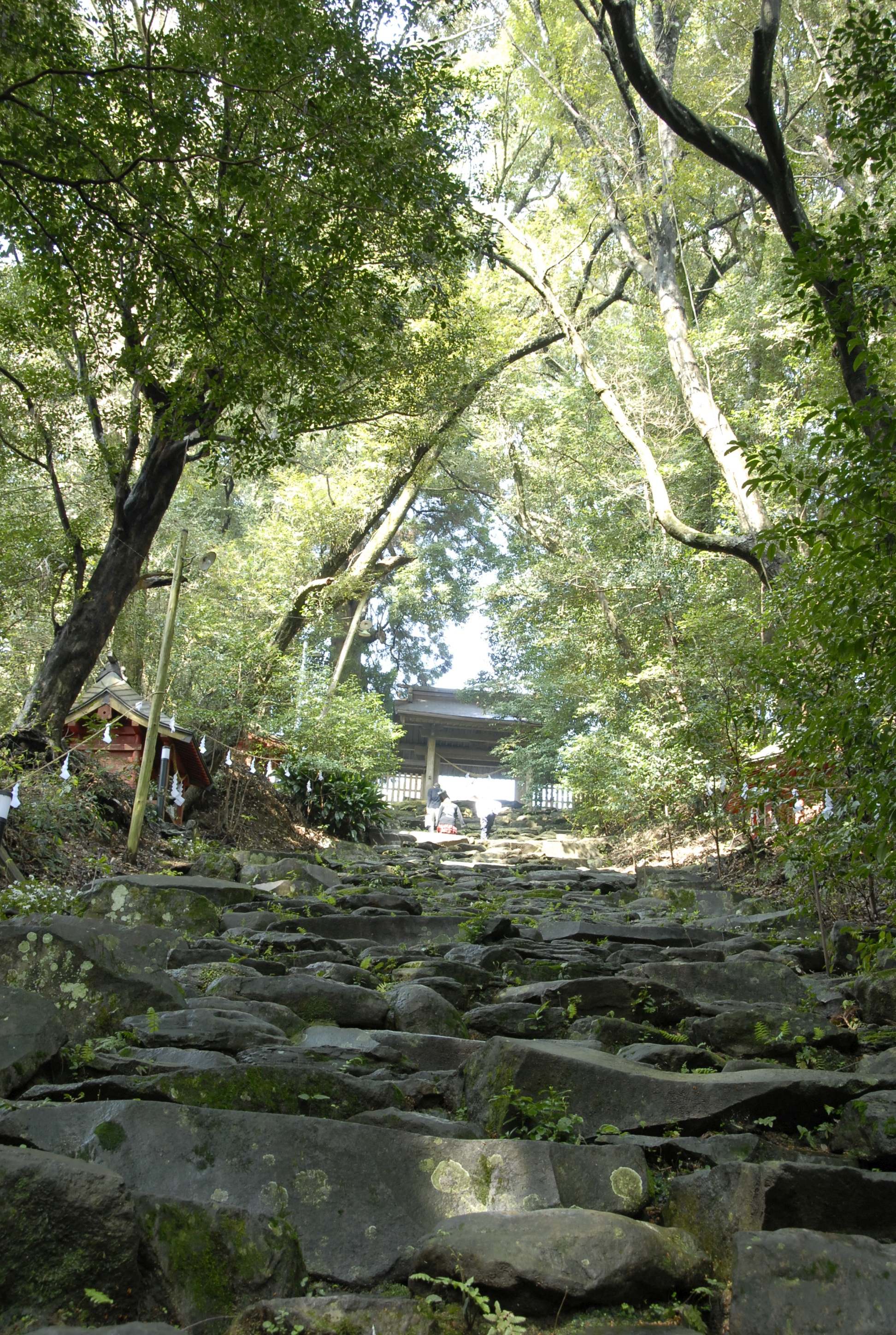 東霧島神社例大祭-7枚目-
