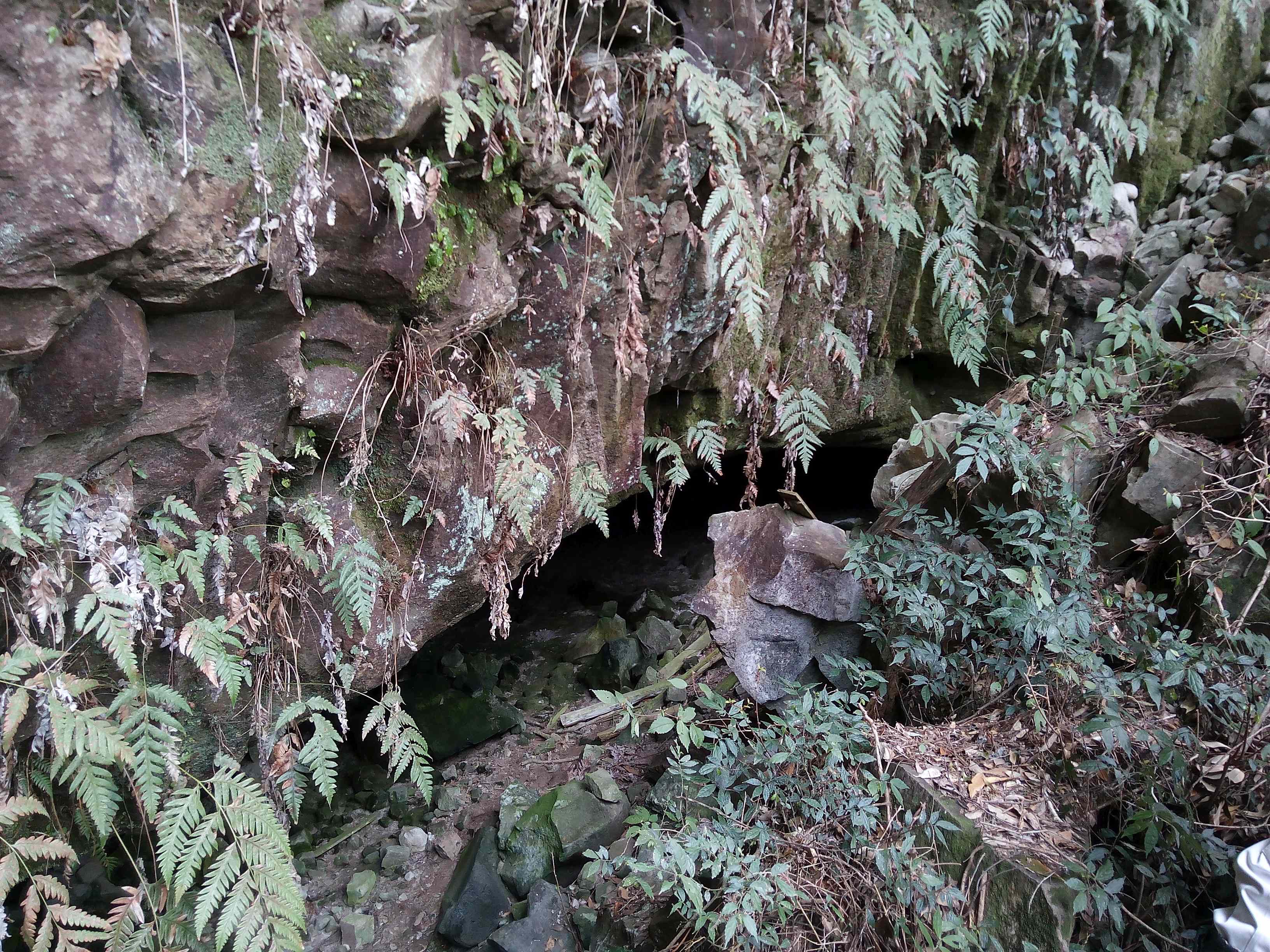尾平野洞窟遺跡