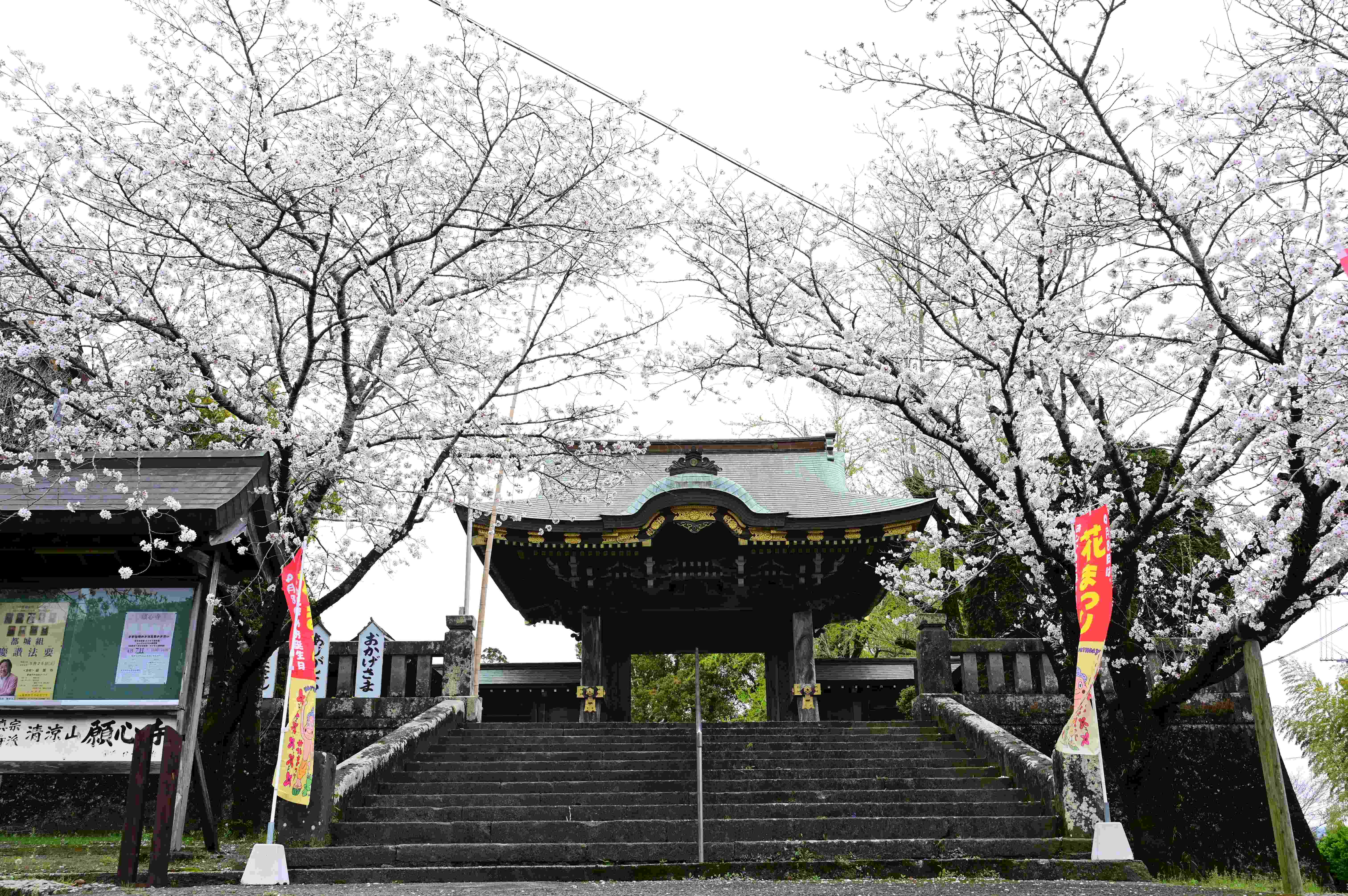 願心寺-1枚目-