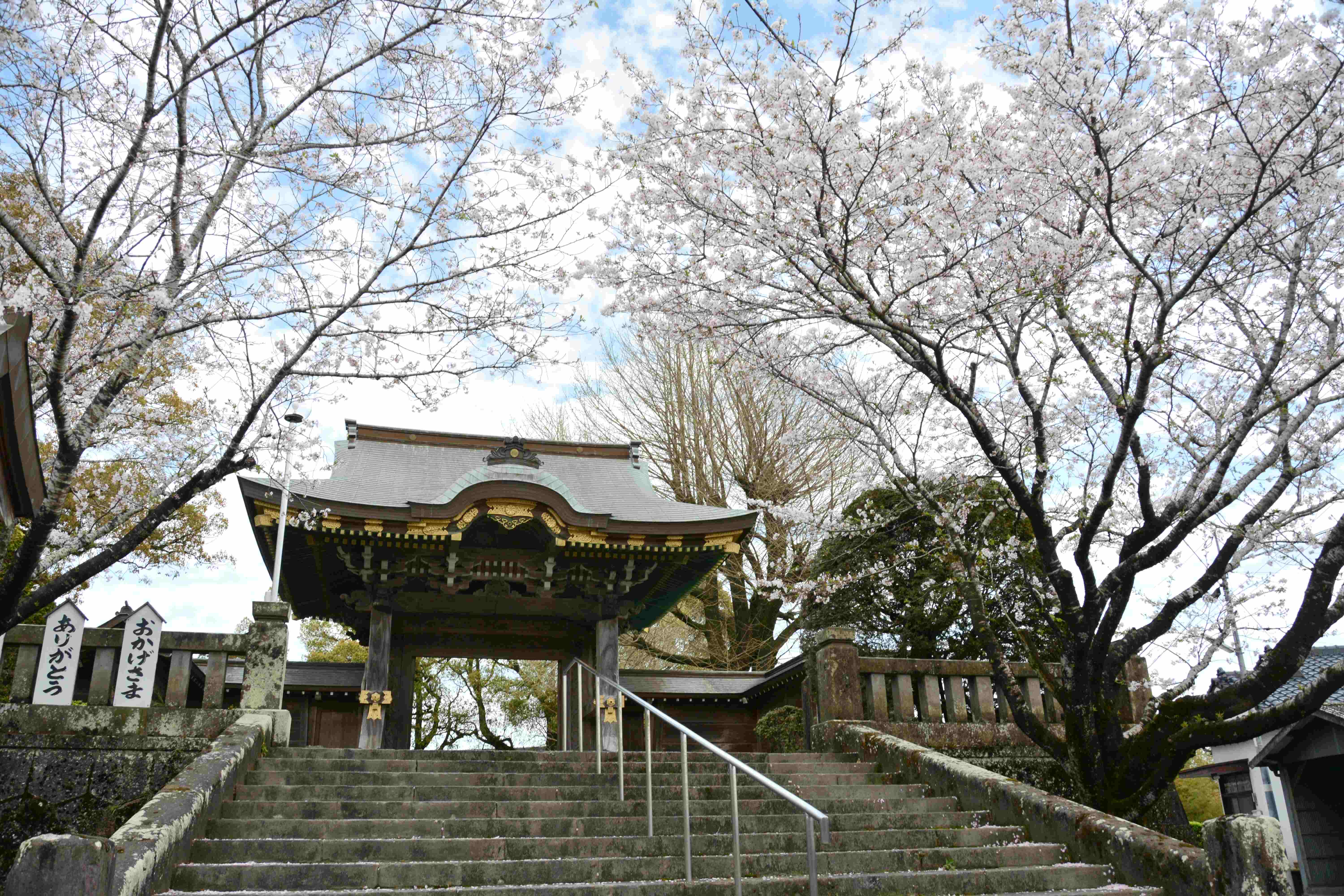 願心寺-2枚目-