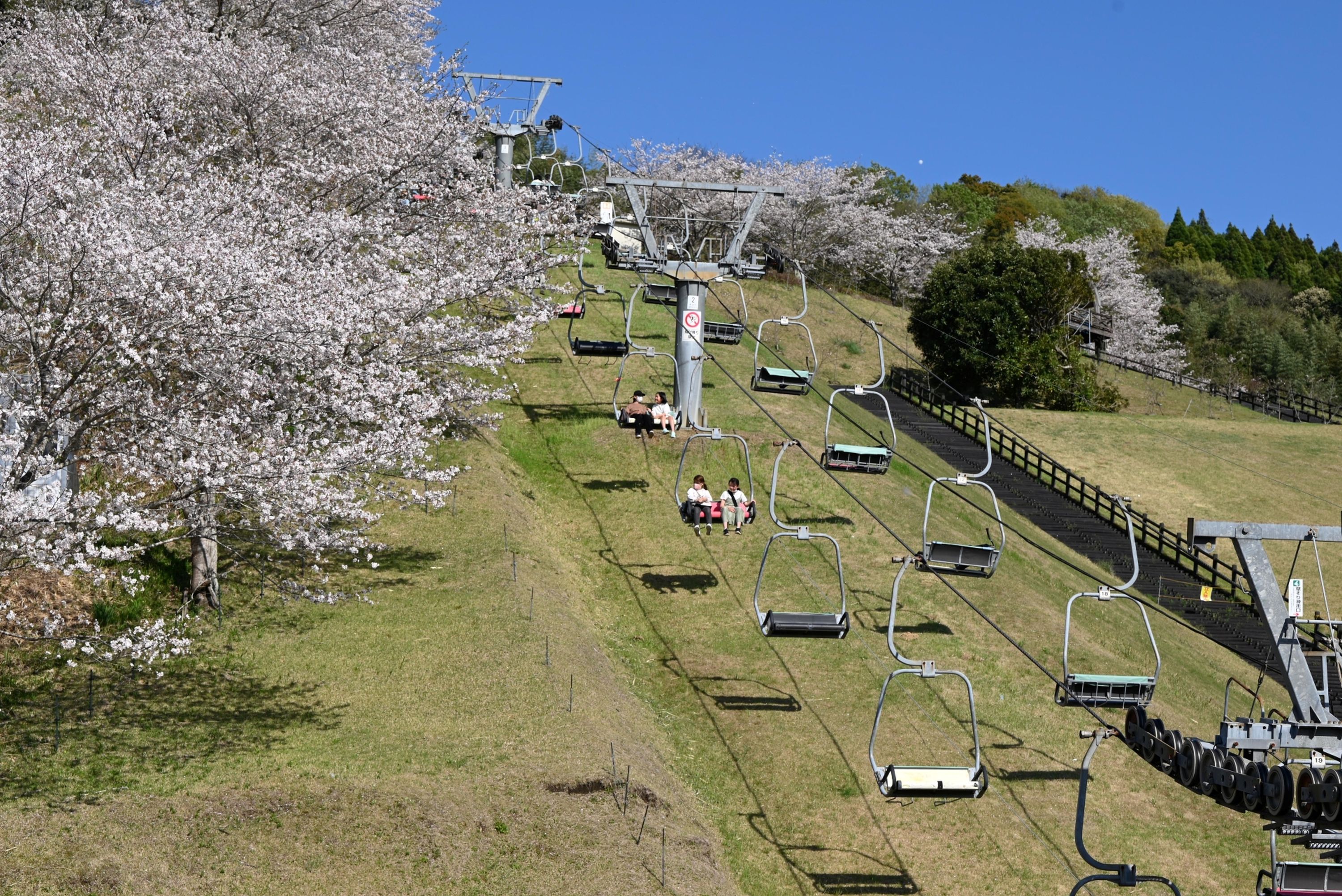 観音池公園-1枚目-