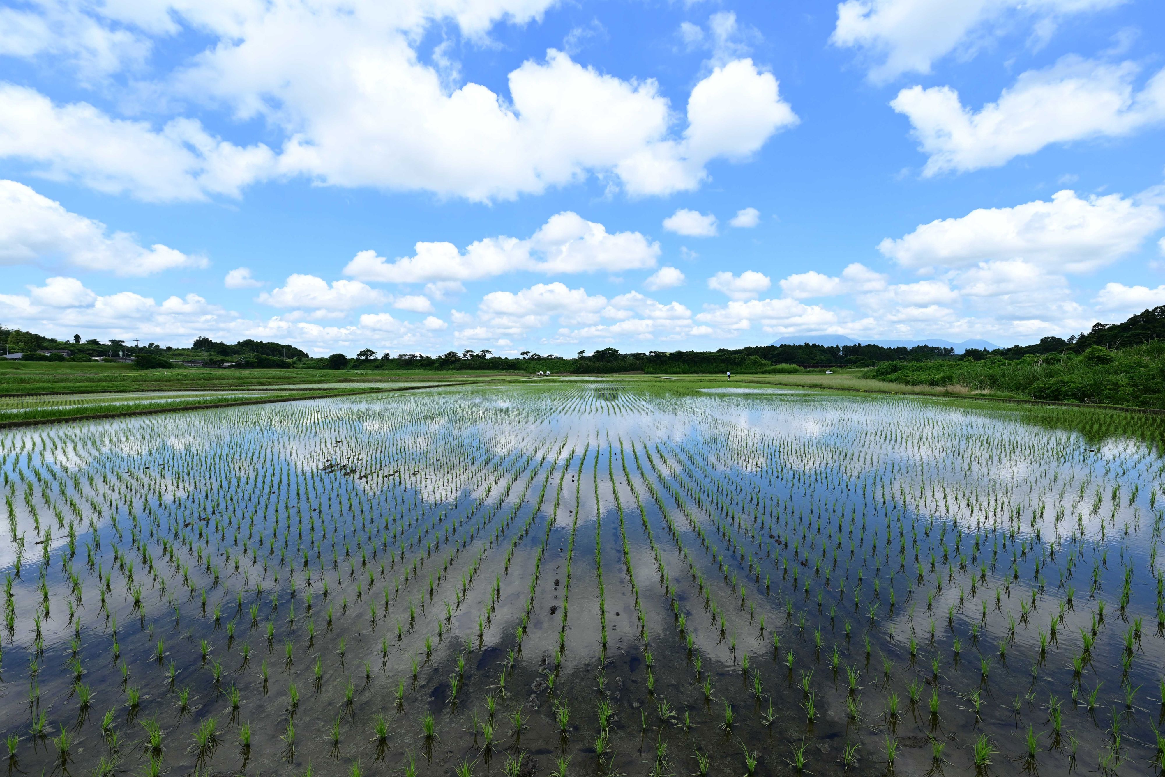 田園風景-1枚目-