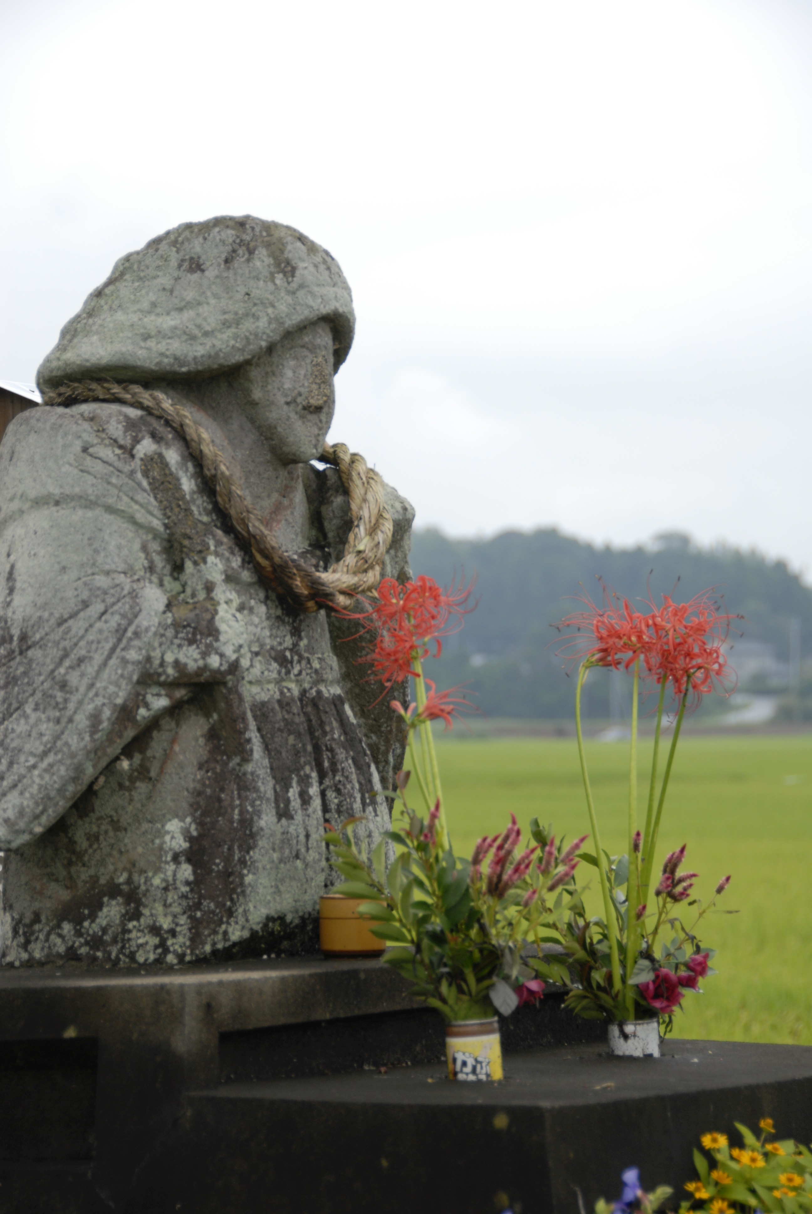 田園風景-2枚目-