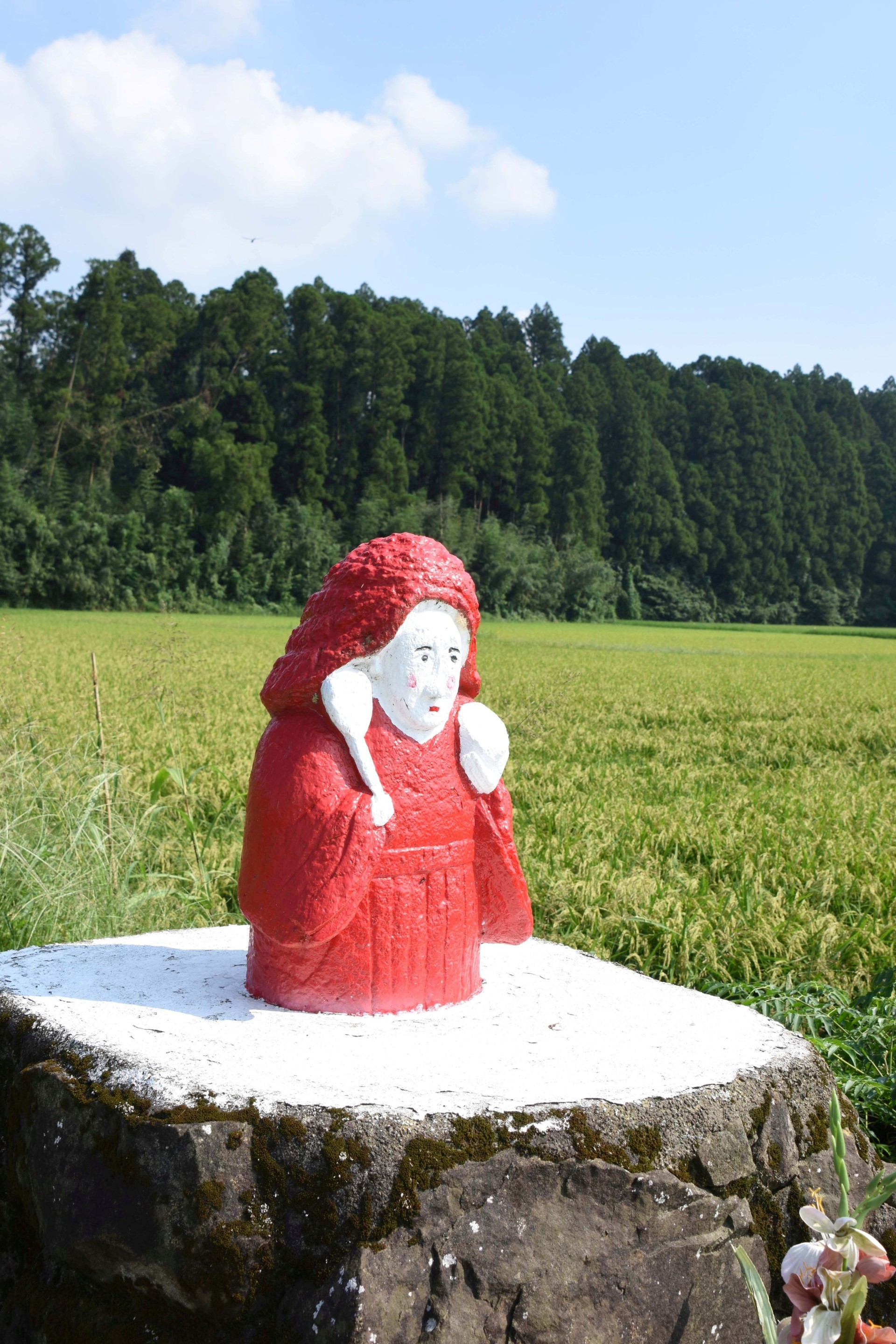 田園風景-6枚目-