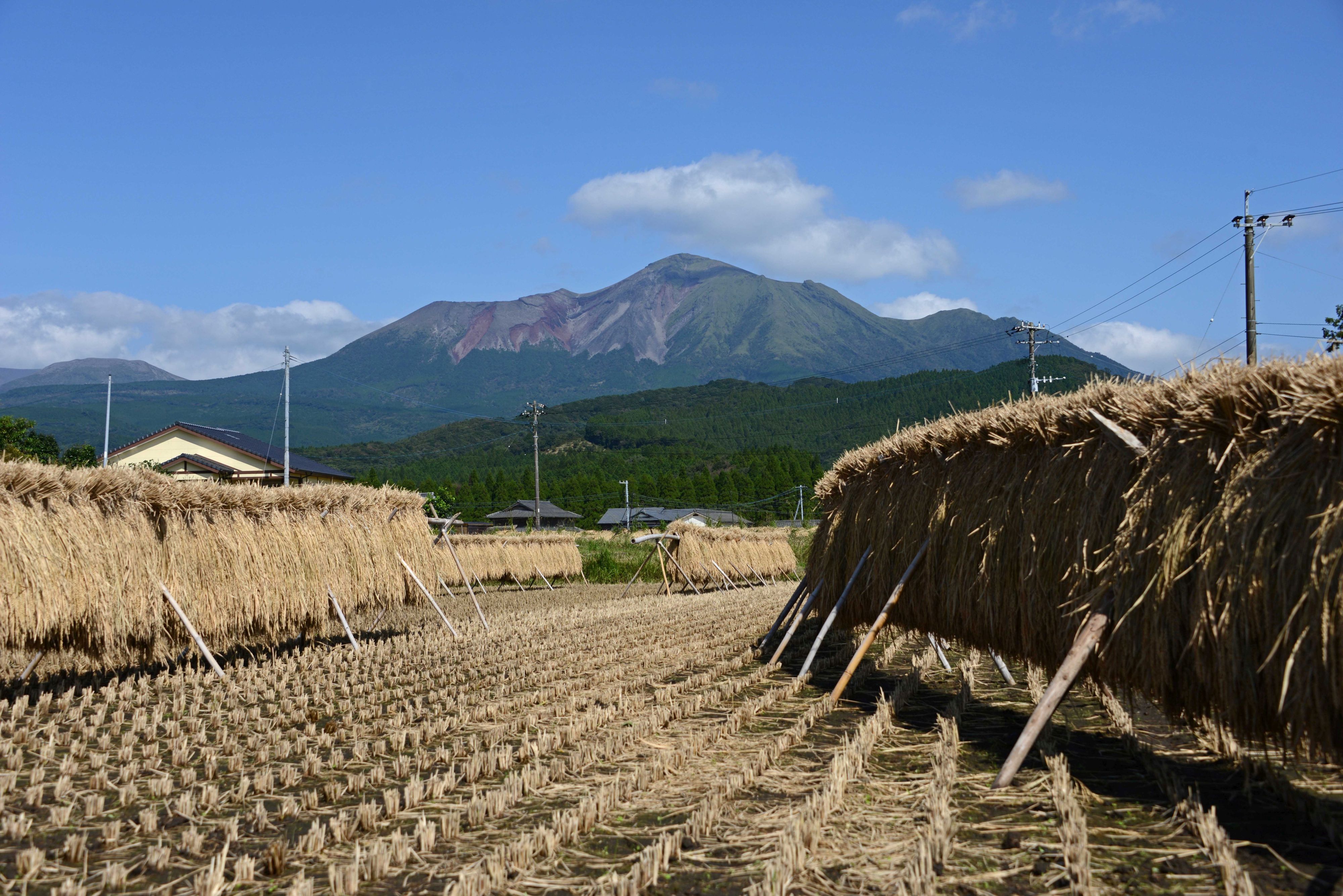 霧島山-23枚目-