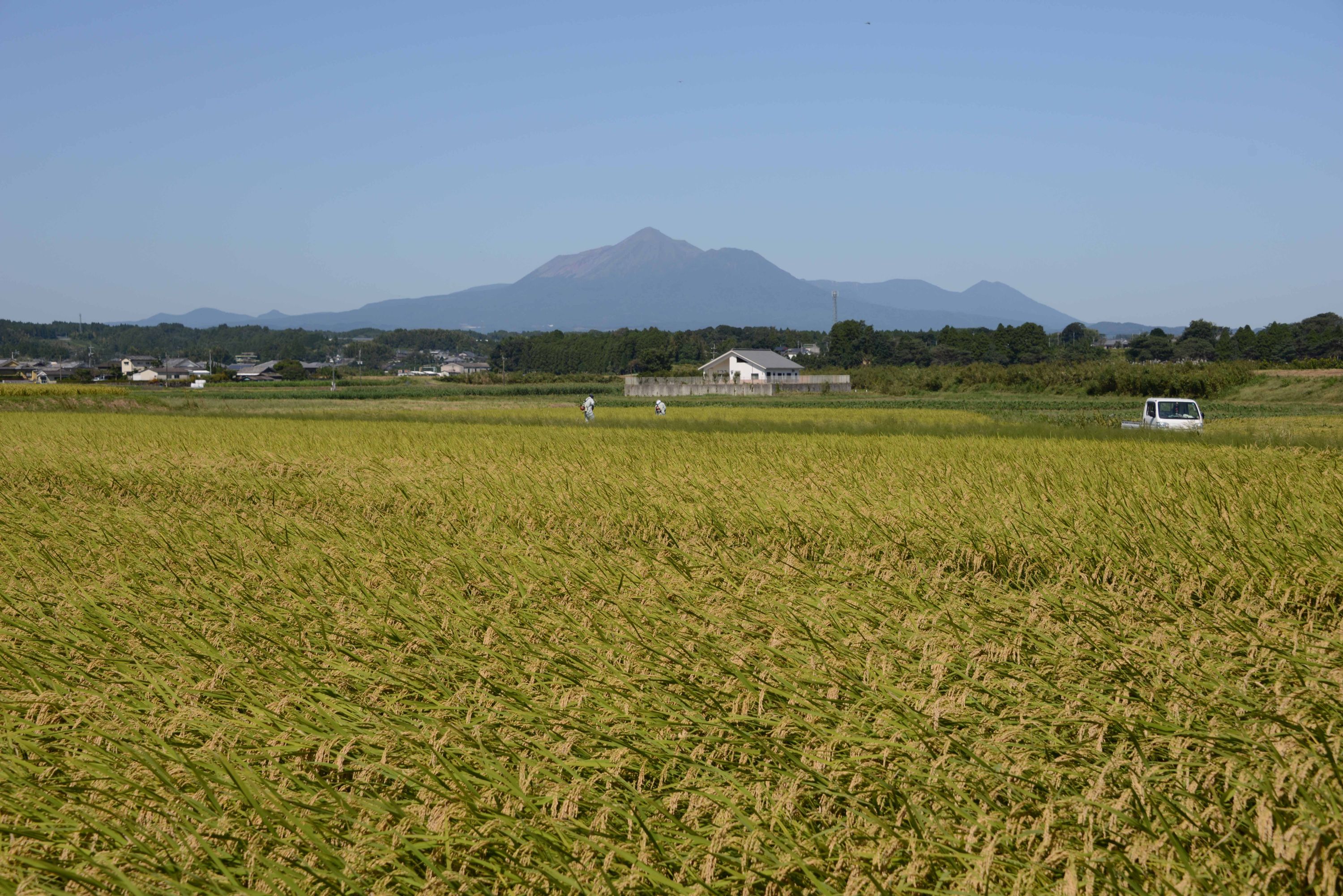 霧島山-29枚目-