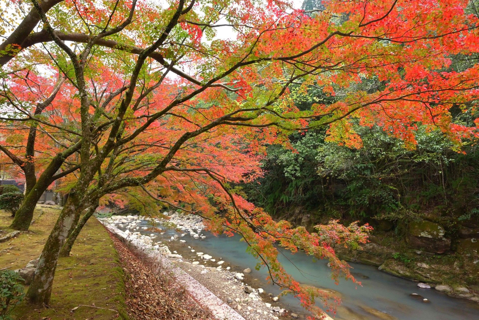 青井岳自然公園-3枚目-