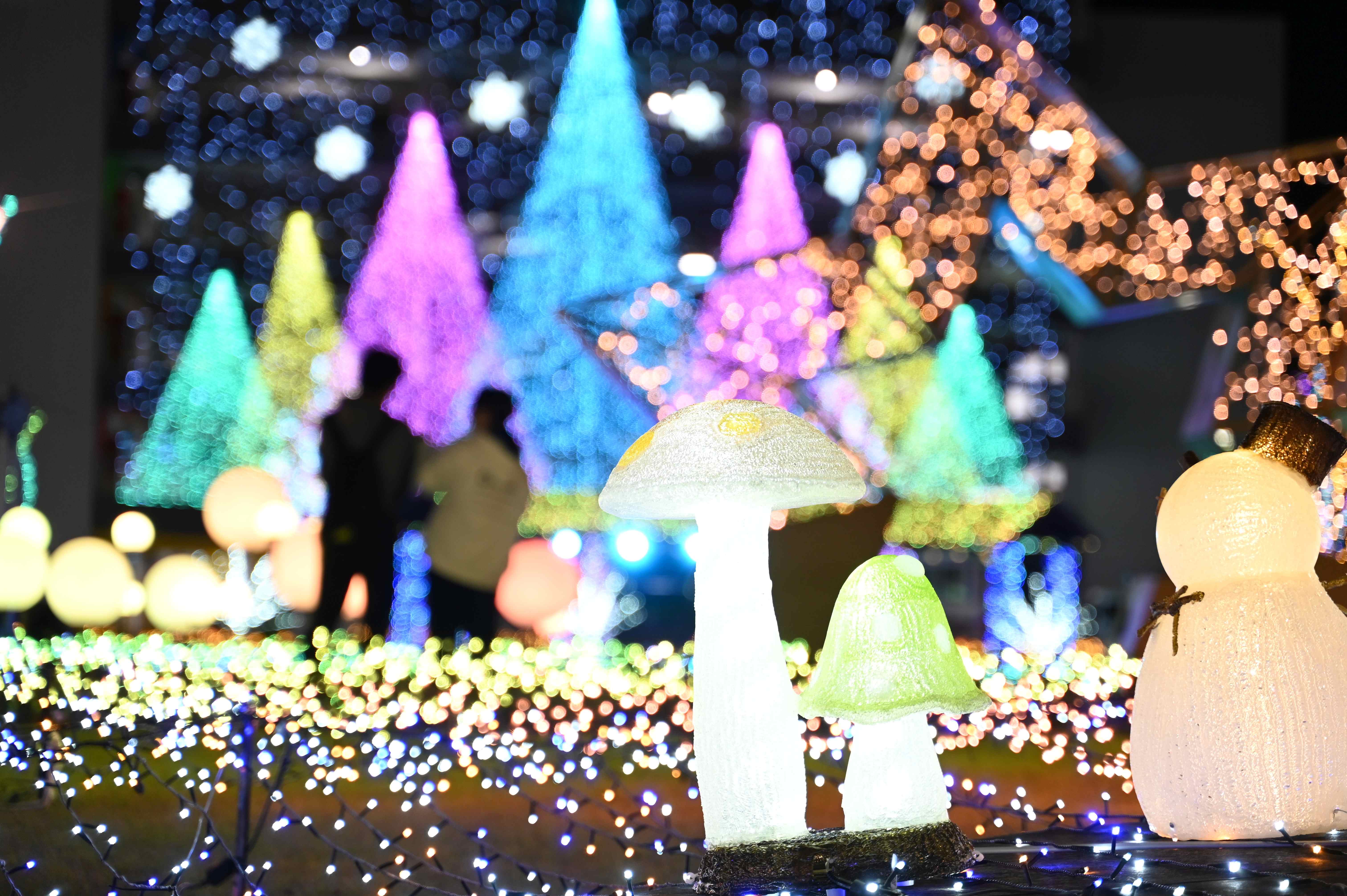 まちなかイルミネーション-13枚目-