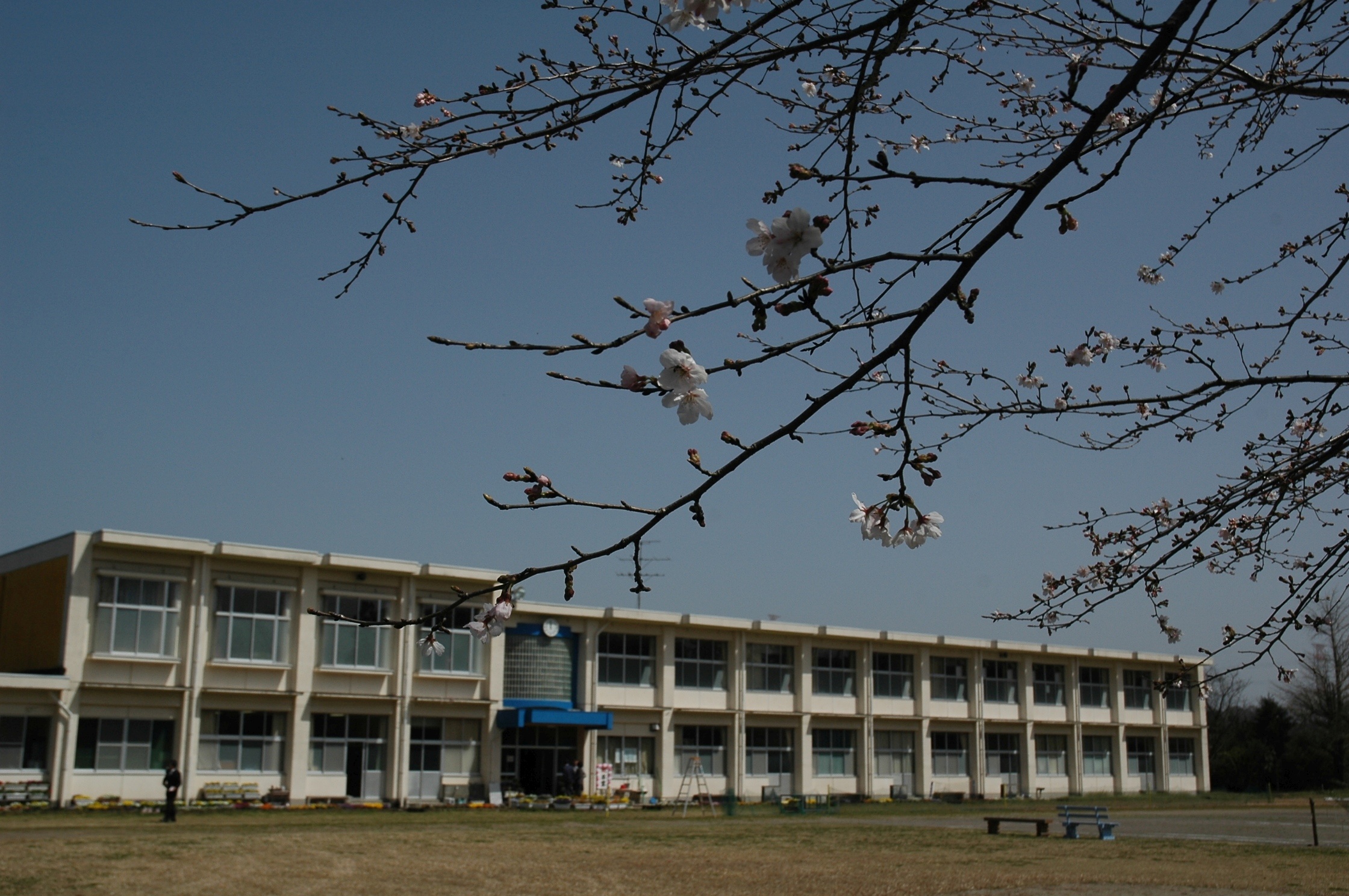 四家中学校最後の卒業式-2枚目-