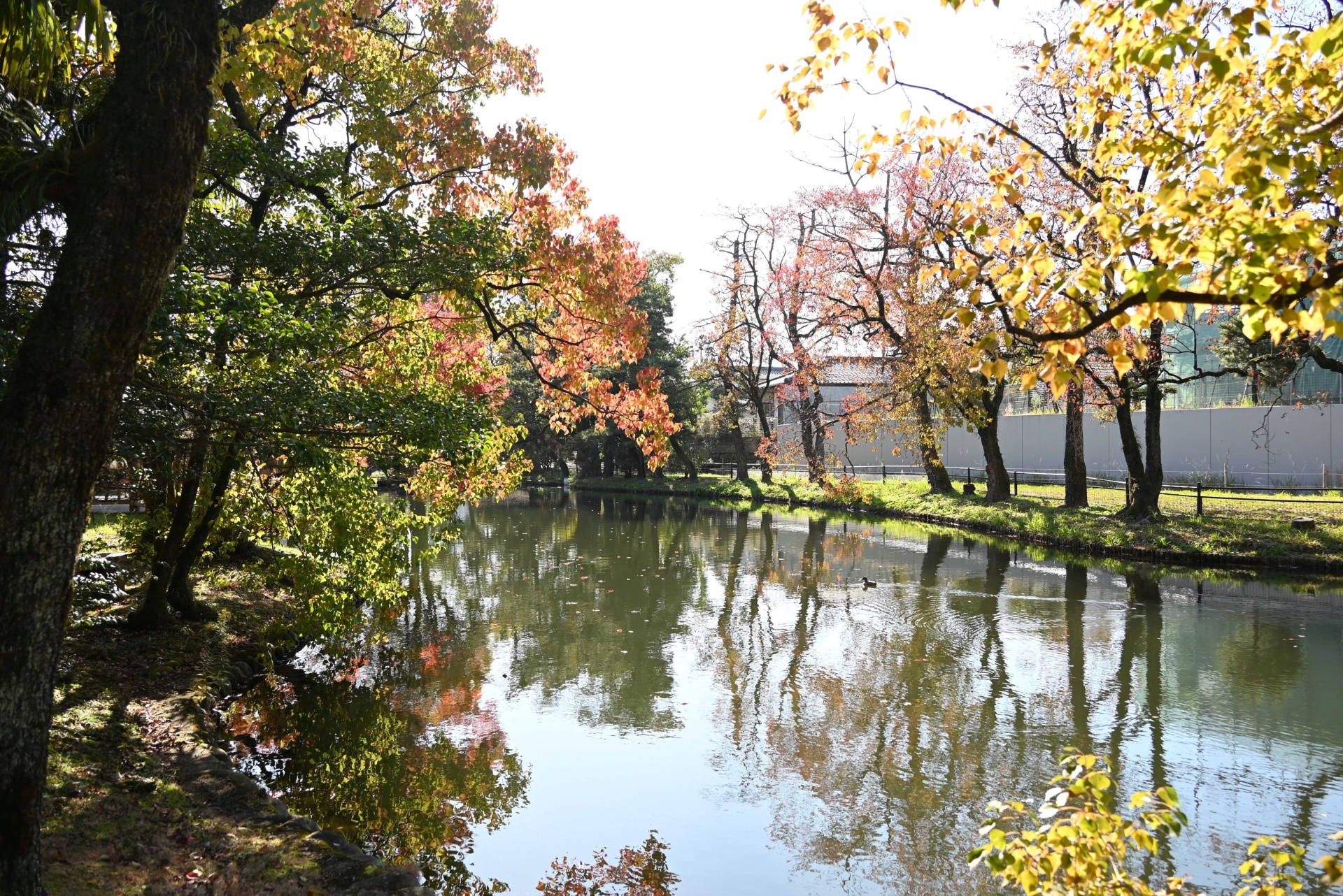 神柱公園-1枚目-