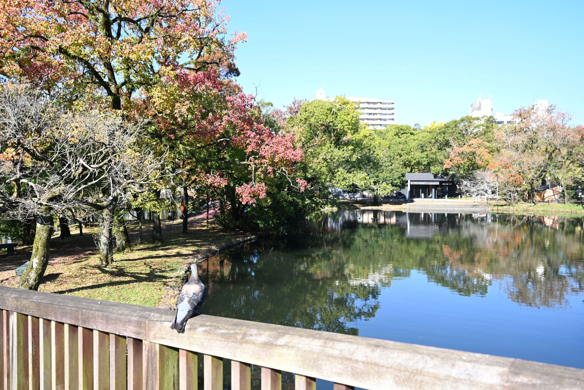 神柱公園-2枚目-