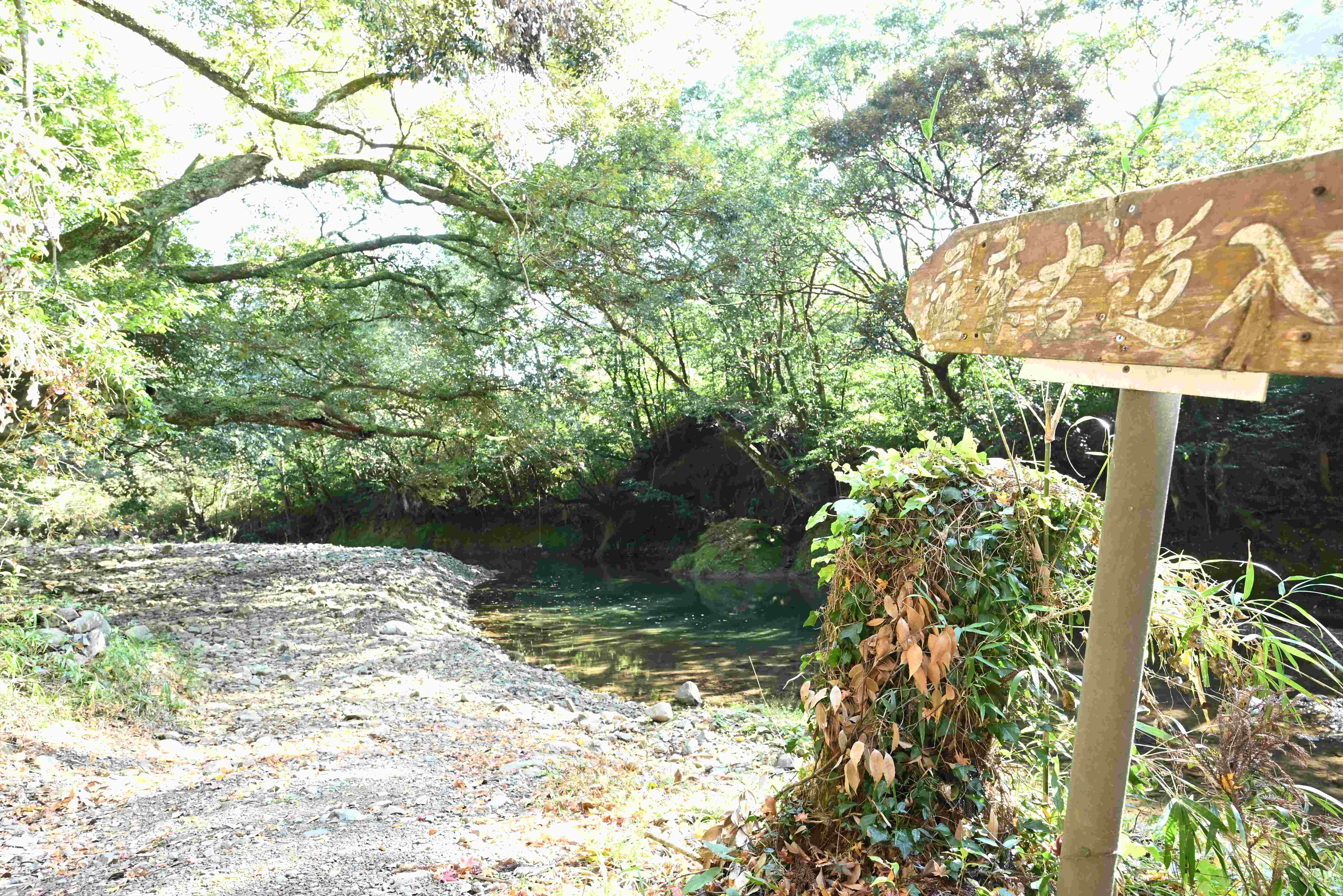 薩摩古道-7枚目-