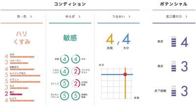 ポーラ肌診断結果の画像