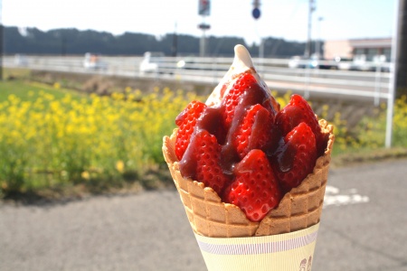 池田いちご園