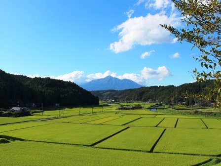 現地から霧島