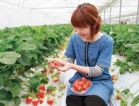 池田いちご園