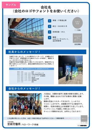 企業アピール票サンプル