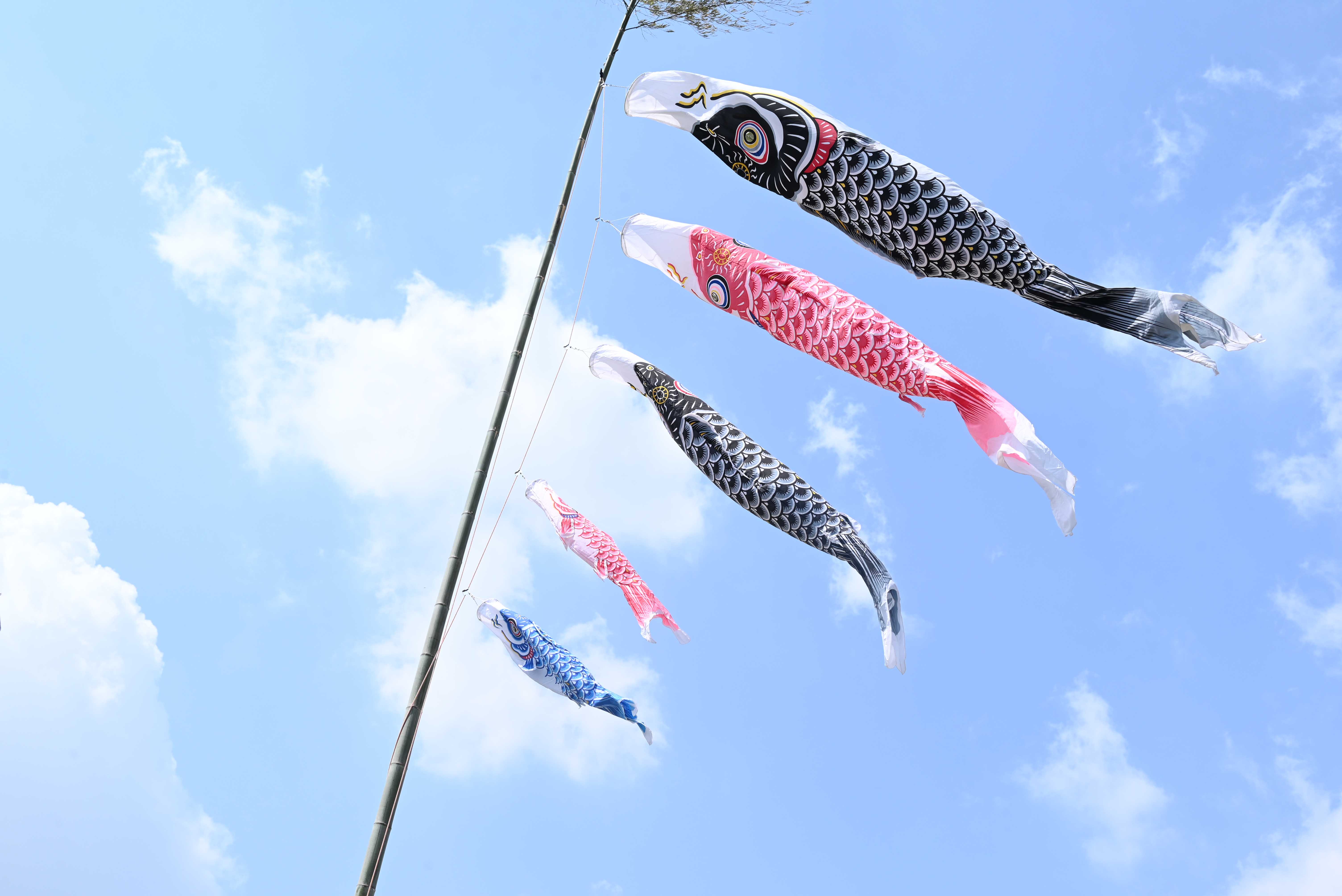 早水公園