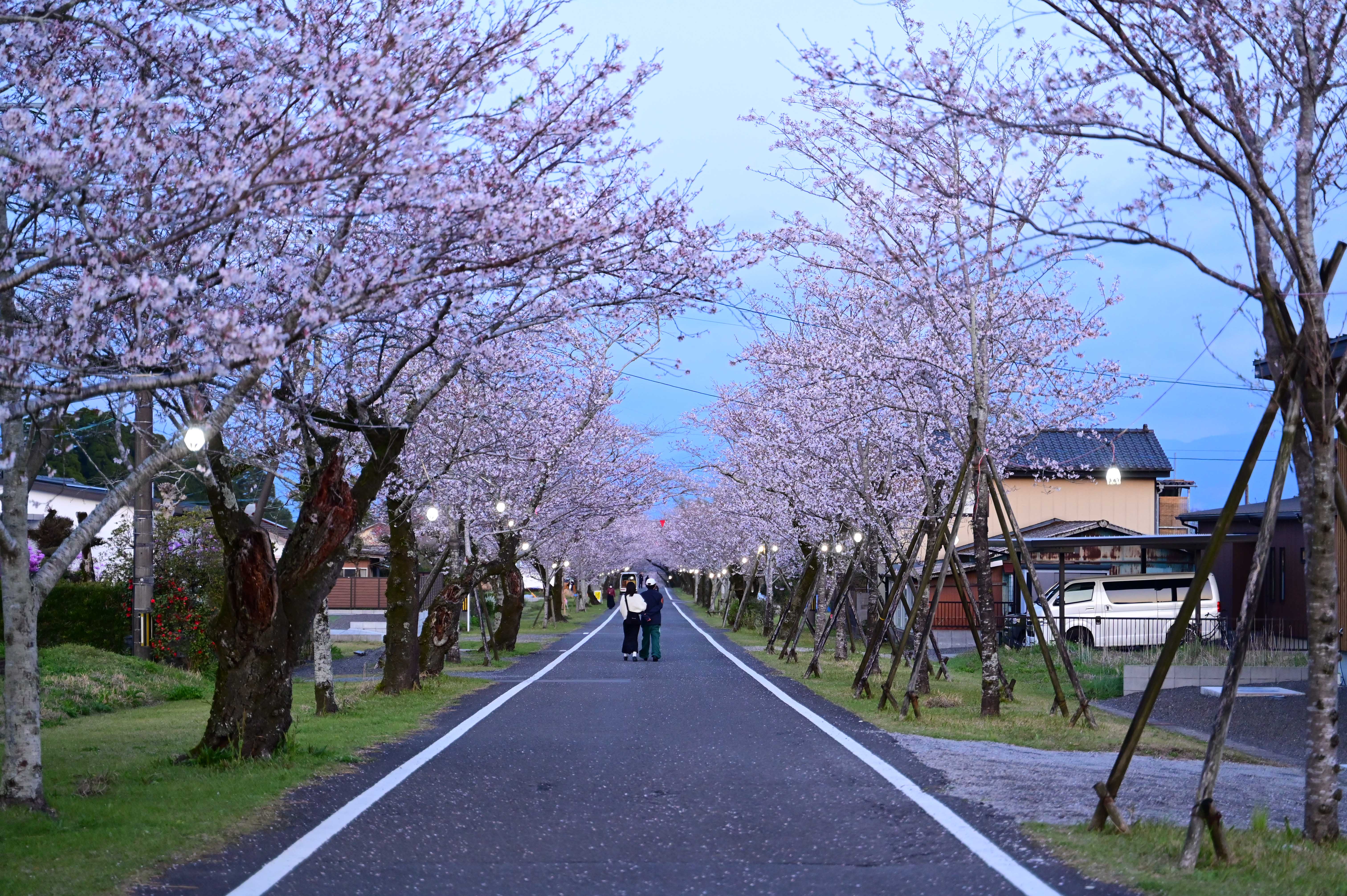 母智丘公園