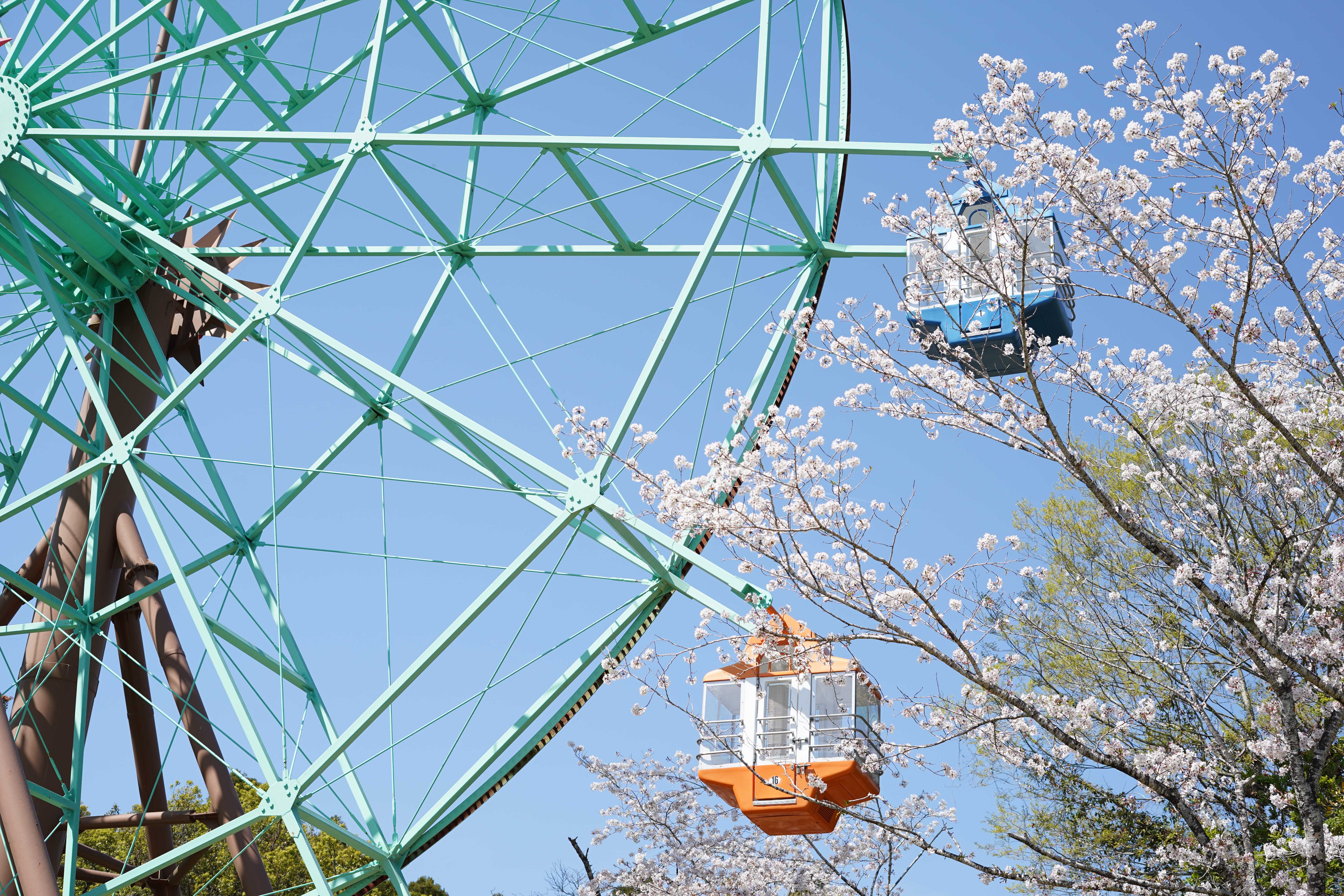 観音池公園