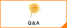 QA