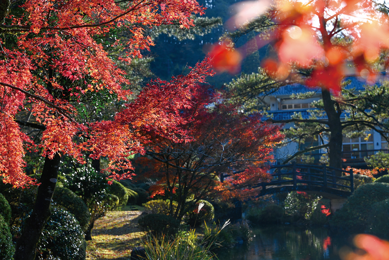 青井岳自然公園