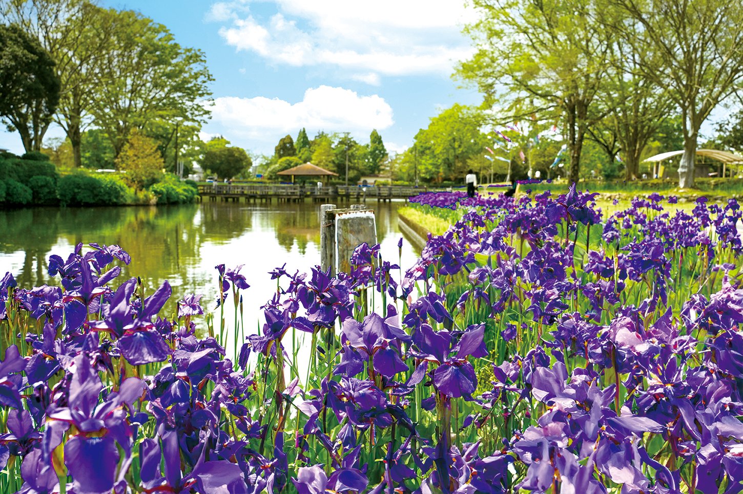 早水公園