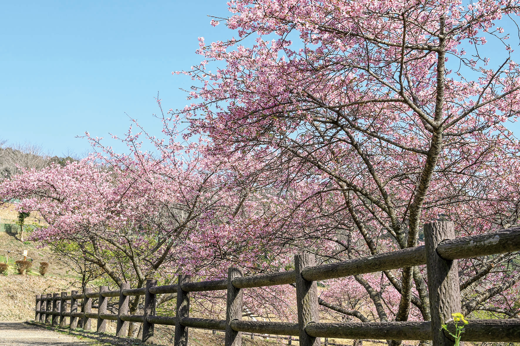高崎総合公園