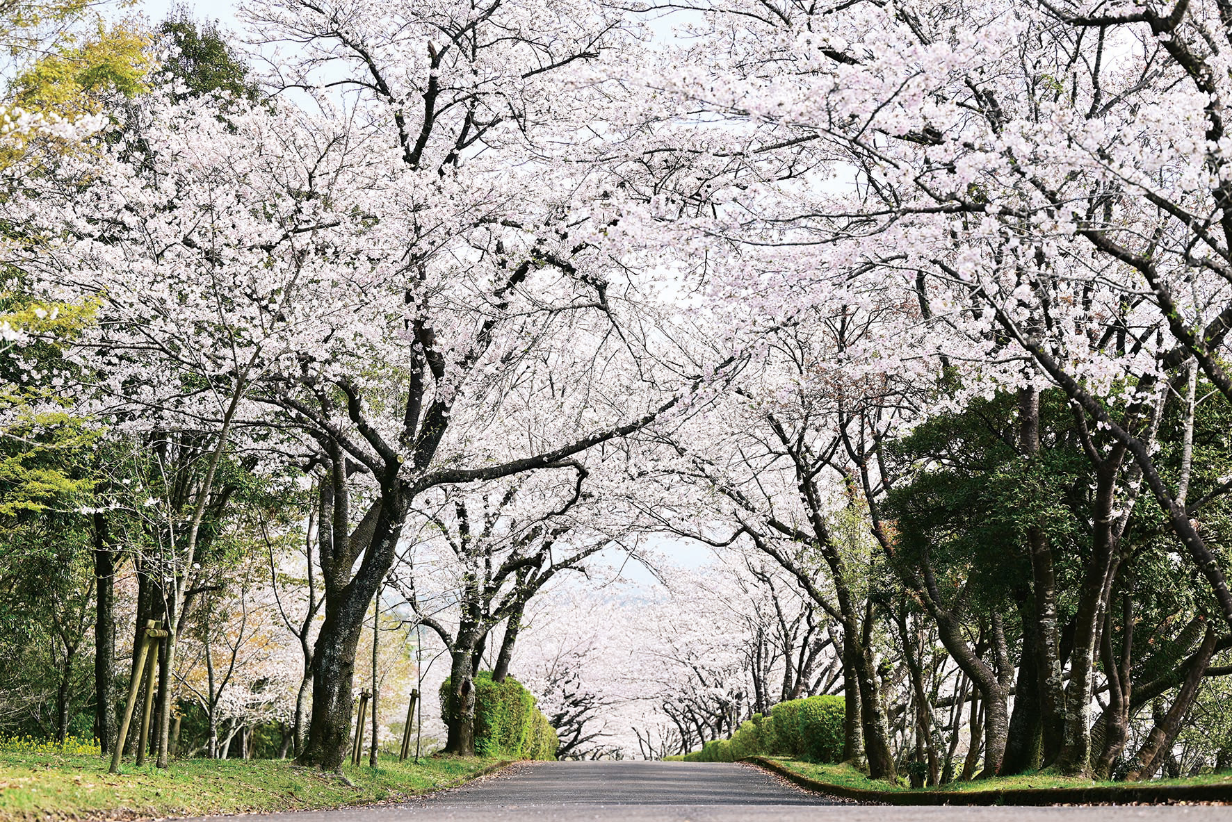 一堂ヶ丘公園