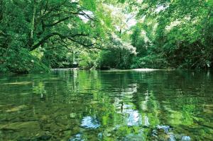 薩摩古道（広報都城令和5年8月号「届けたい都城の風景」）