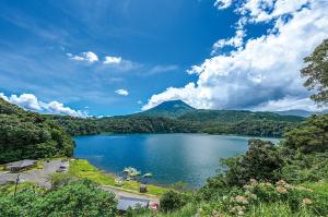 御池（広報都城令和6年8月号「届けたい都城の風景」）