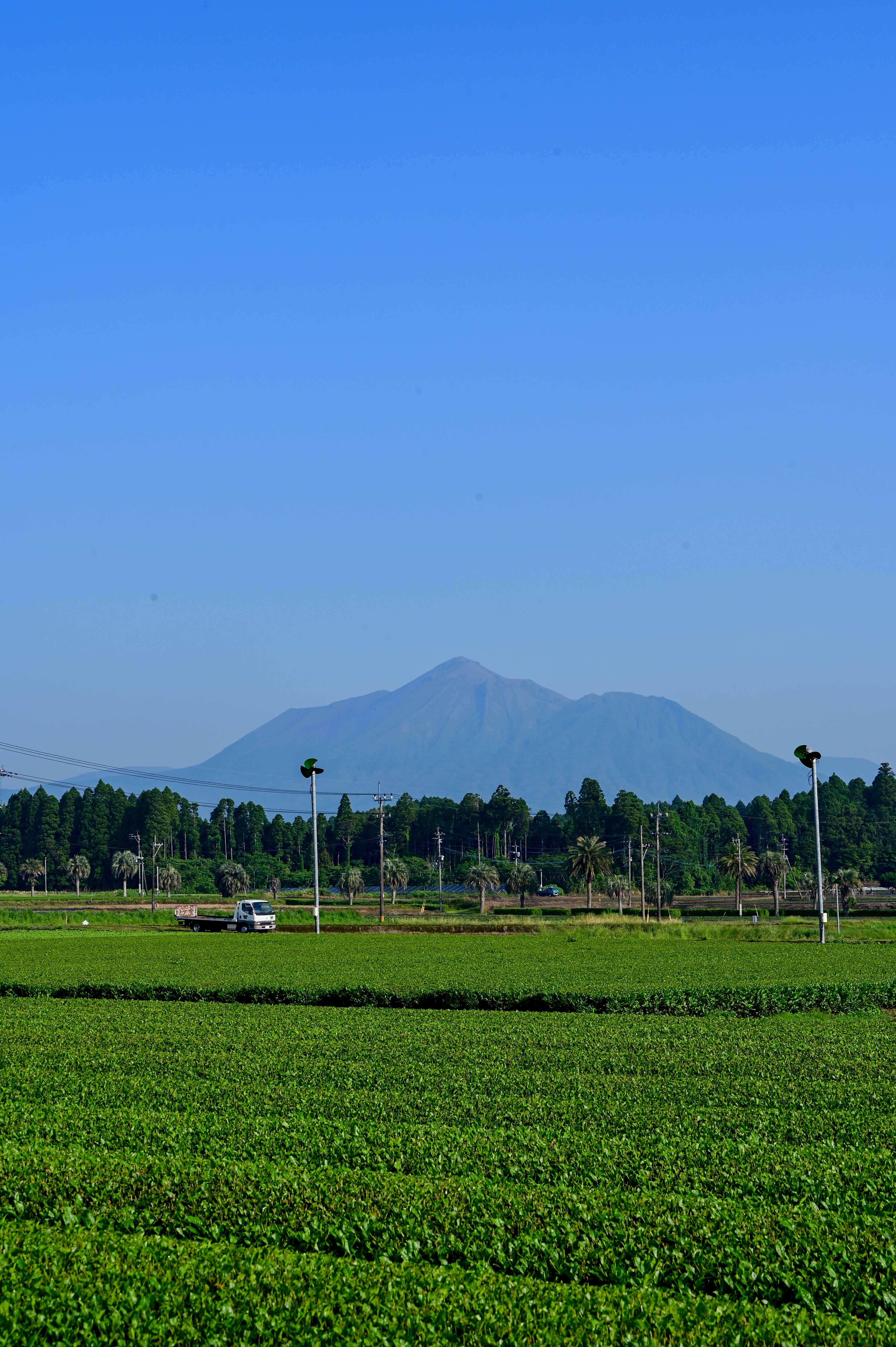 茶畑と霧島山（広報都城令和７年６月号表紙）