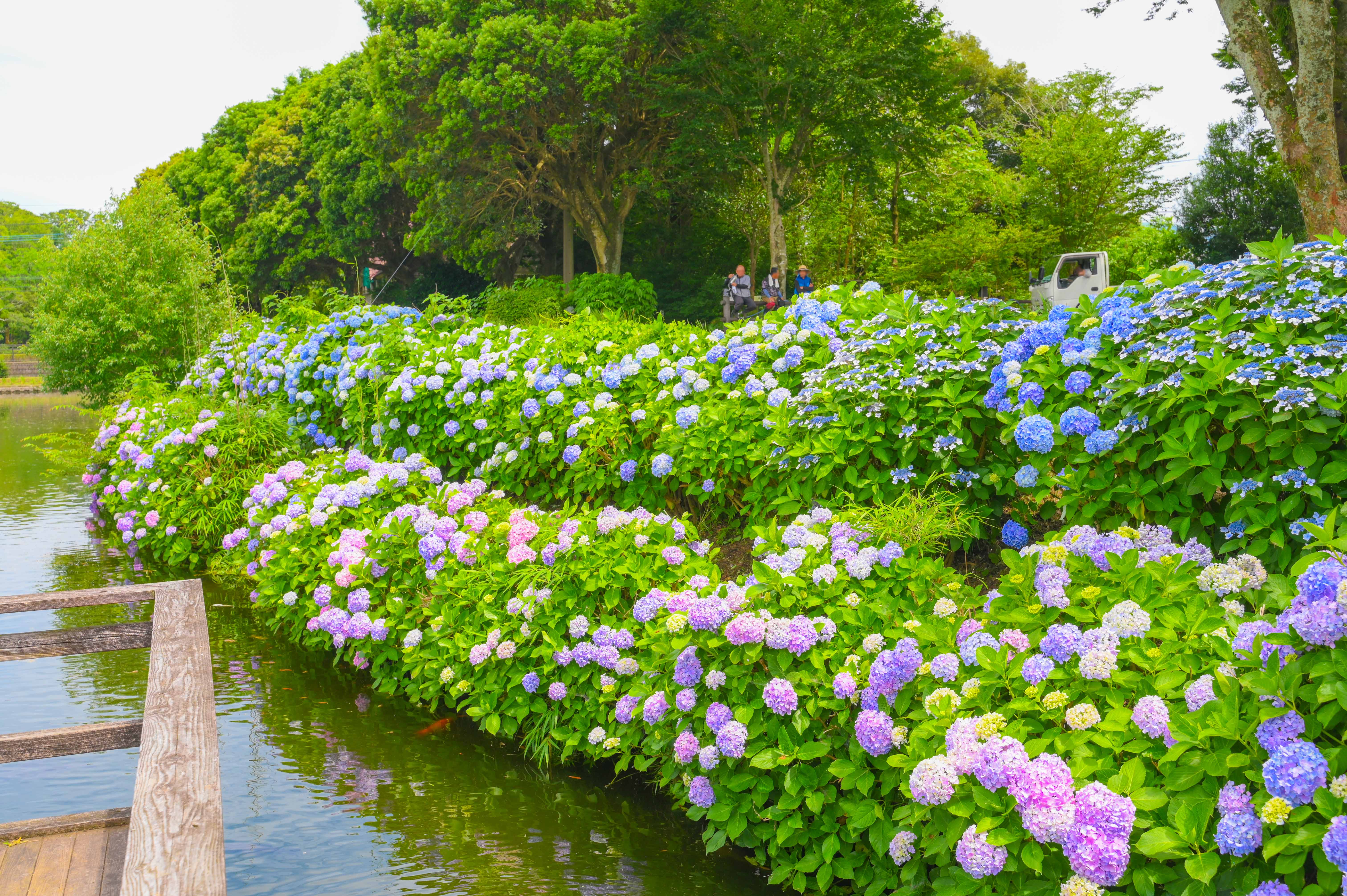 早水公園-32枚目-