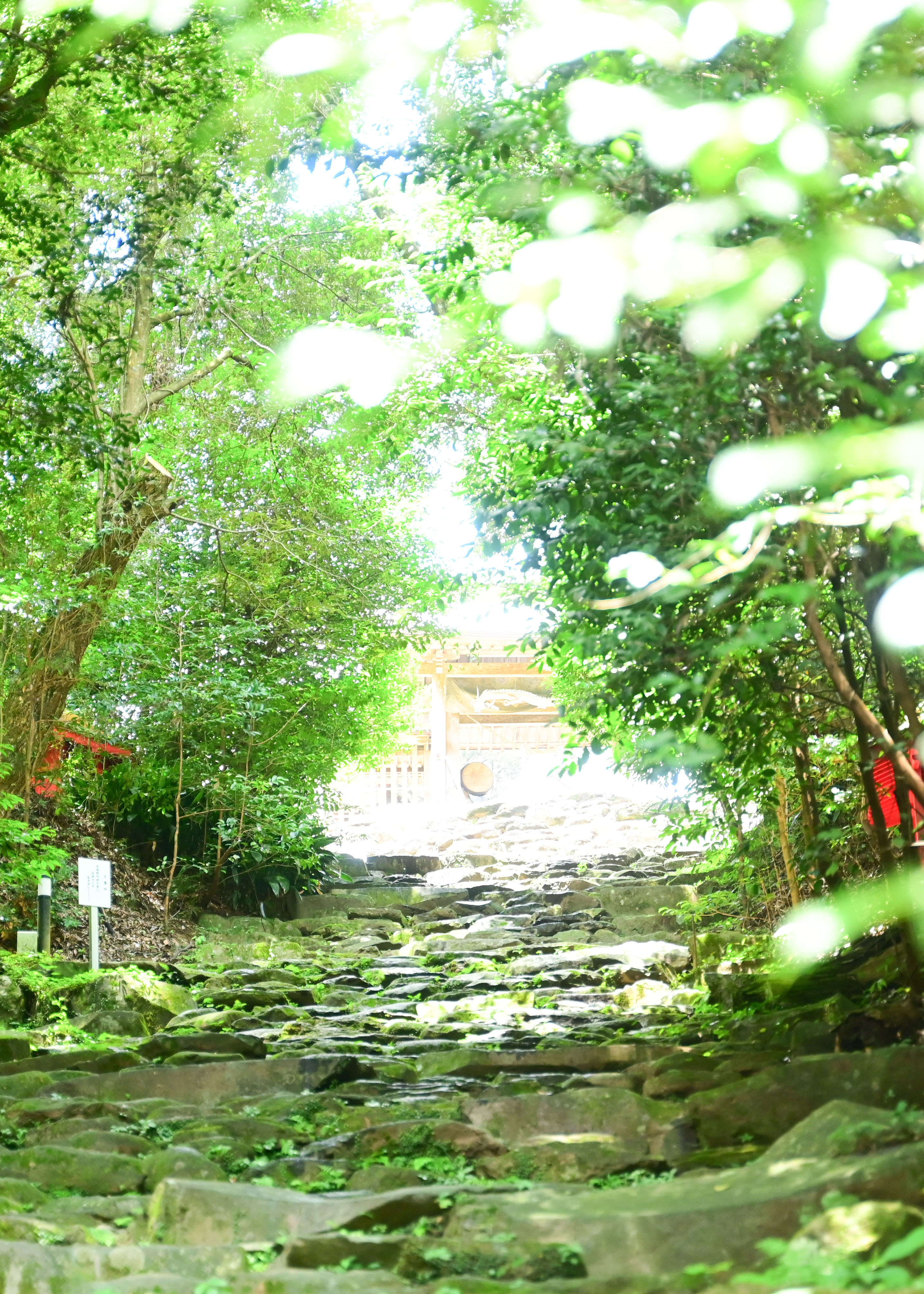 東霧島神社-2枚目-
