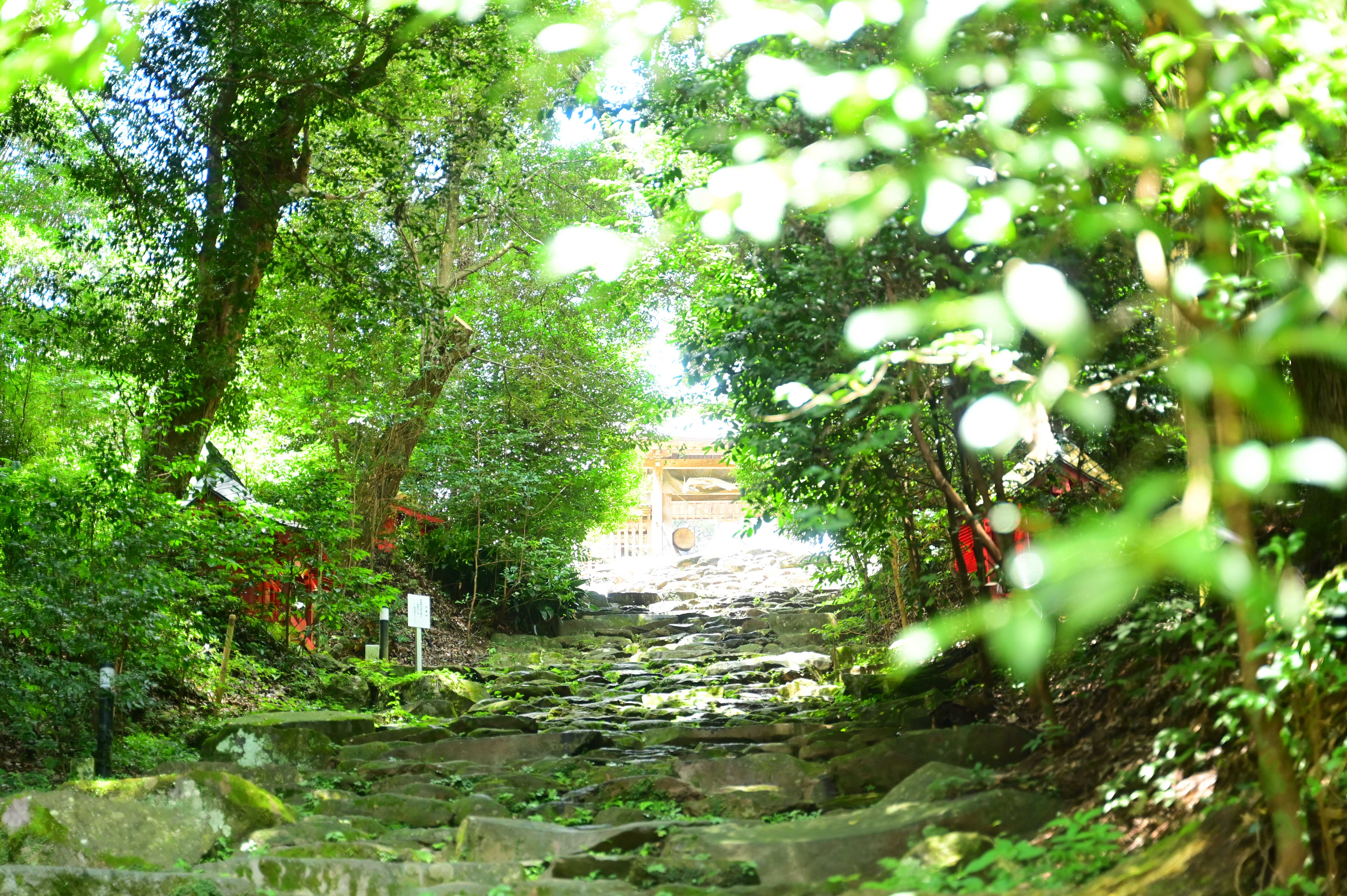 東霧島神社-3枚目-