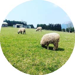 [公式]都城市出会い応援