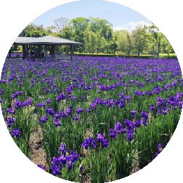 【公式】都城市道路公園課