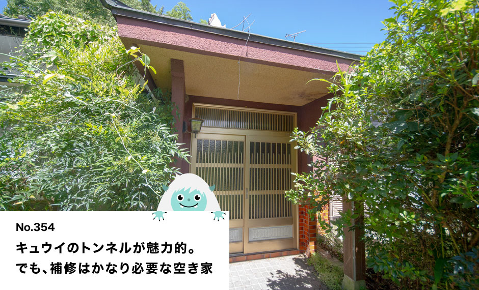 キュウイのトンネルが魅力的。 でも、補修はかなり必要な空き家