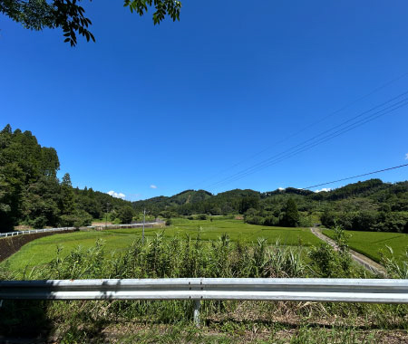 家の前の景色 家の前の景色は絶景です！