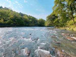 光と清流の奏
