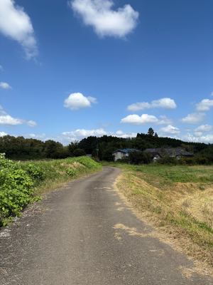 田舎道